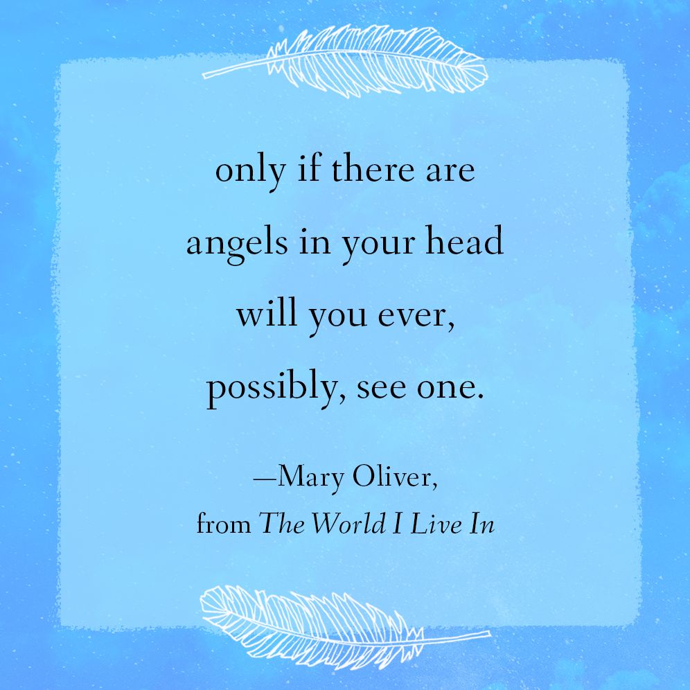 Devotions: The Selected Poems of Mary Oliver (Read with Jenna Pick)