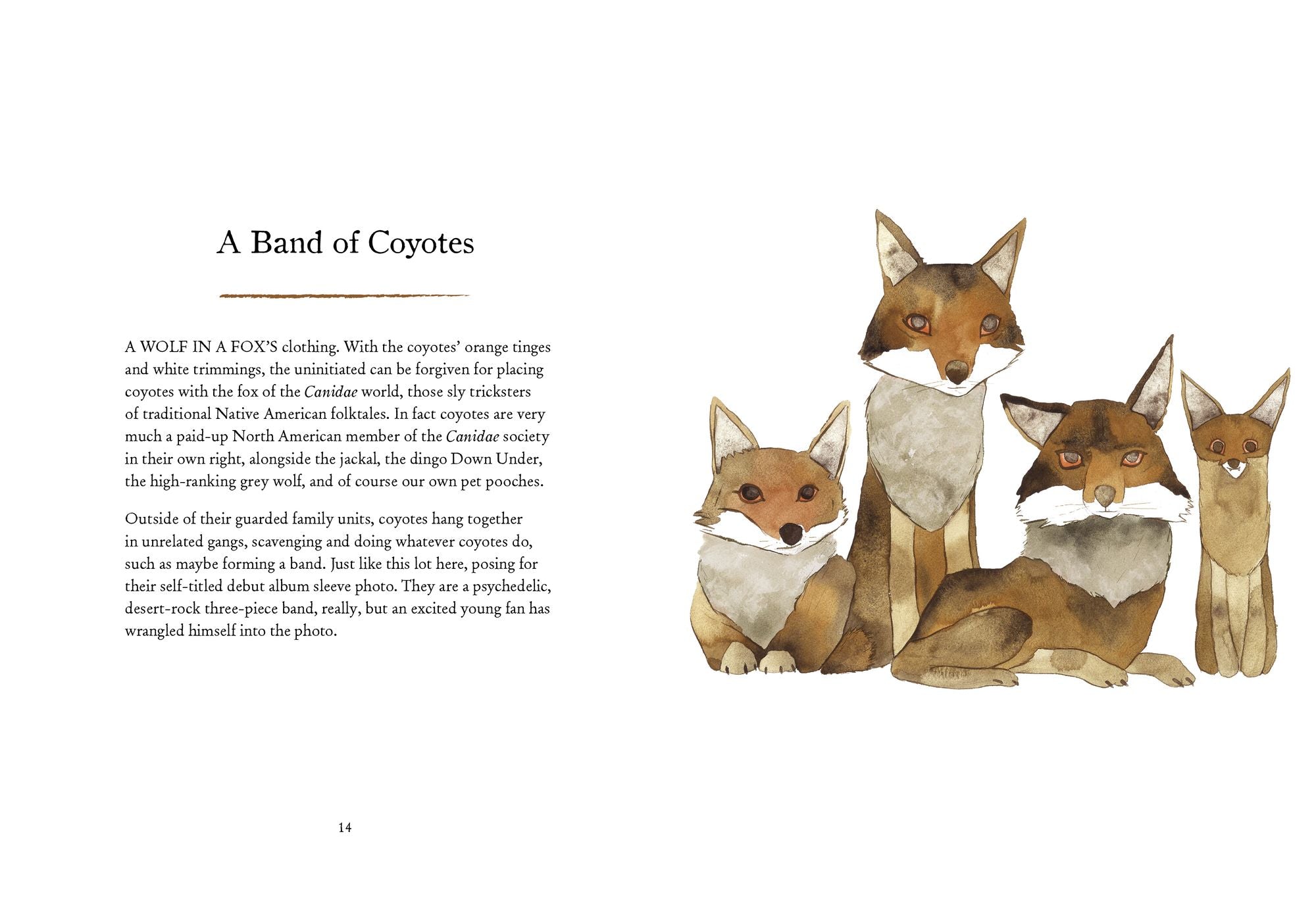 A Charm of Goldfinches and Other Wild Gatherings: Quirky Collective Nouns of the Animal Kingdom