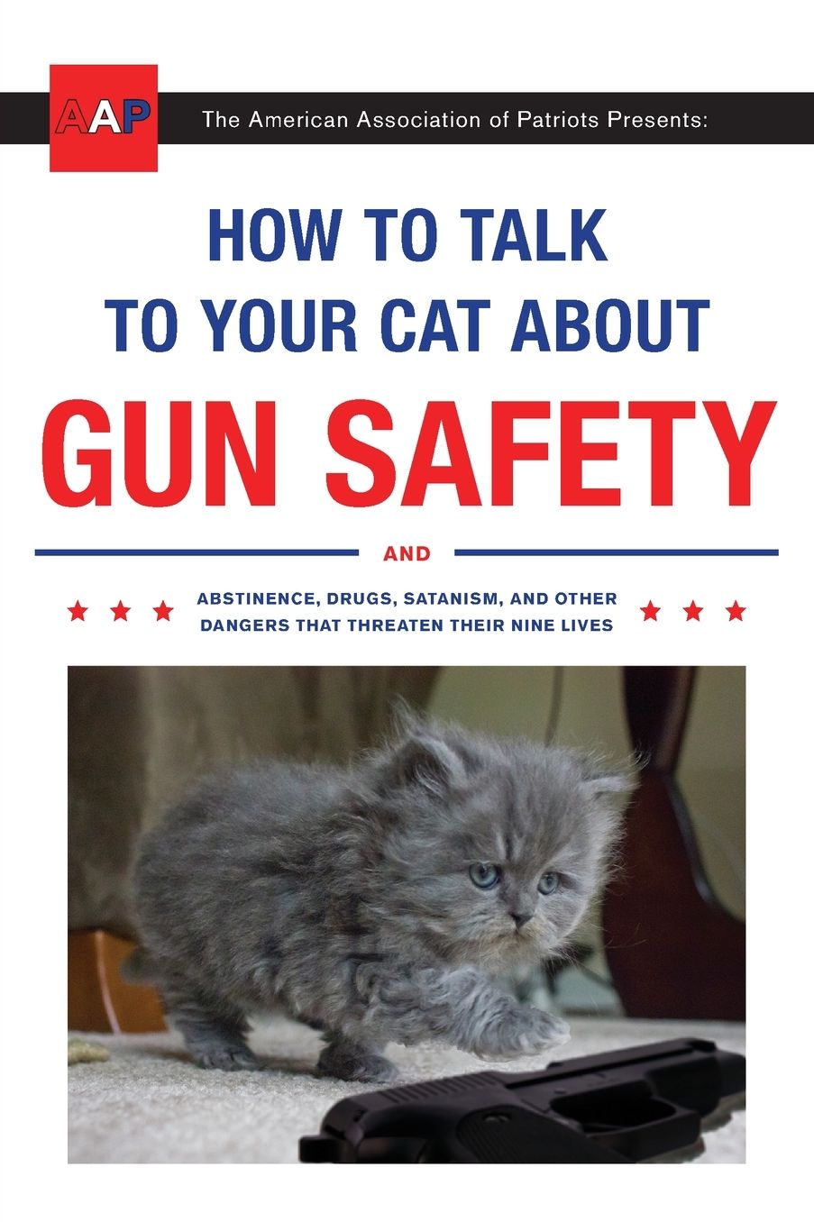 How to Talk to Your Cat about Gun Safety: And Abstinence, Drugs, Satanism, and Other Dangers That Threaten Their Nine Lives