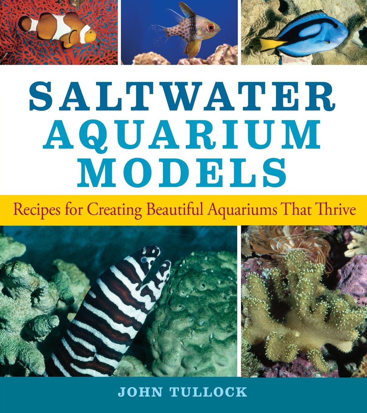 Saltwater Aquarium Models: Recipes for Creating Beautiful Aquariums That Thrive