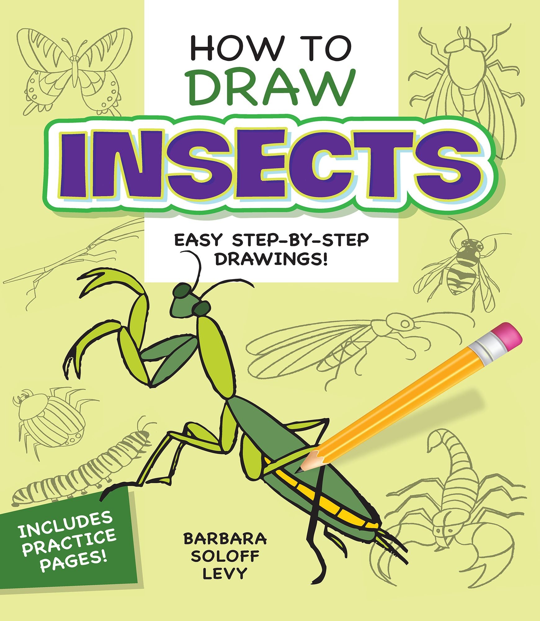 How to Draw Insects: Step-by-Step Drawings!