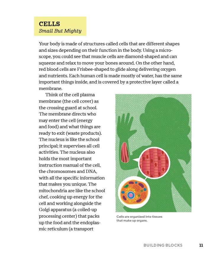 How Does My Body Work? Human Body Book for Kids: STEAM Experiments and Activities for Kids 8-12
