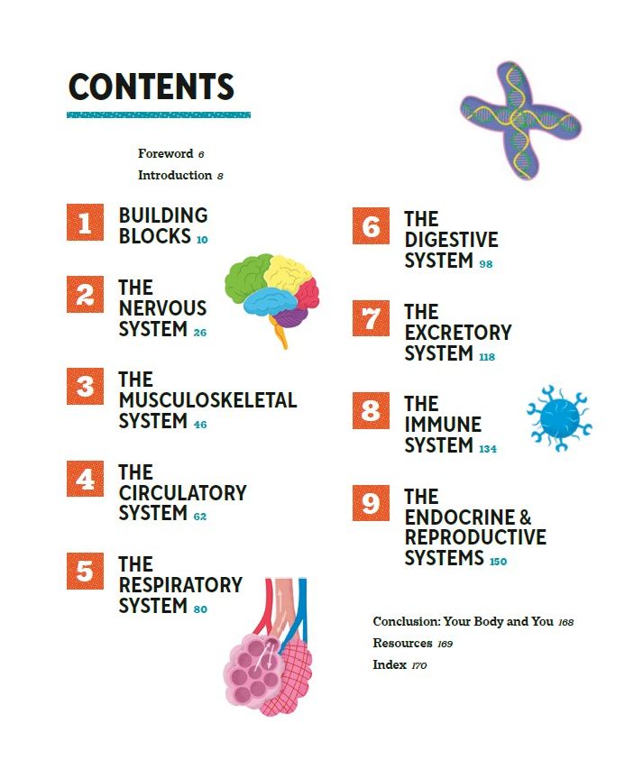 How Does My Body Work? Human Body Book for Kids: STEAM Experiments and Activities for Kids 8-12