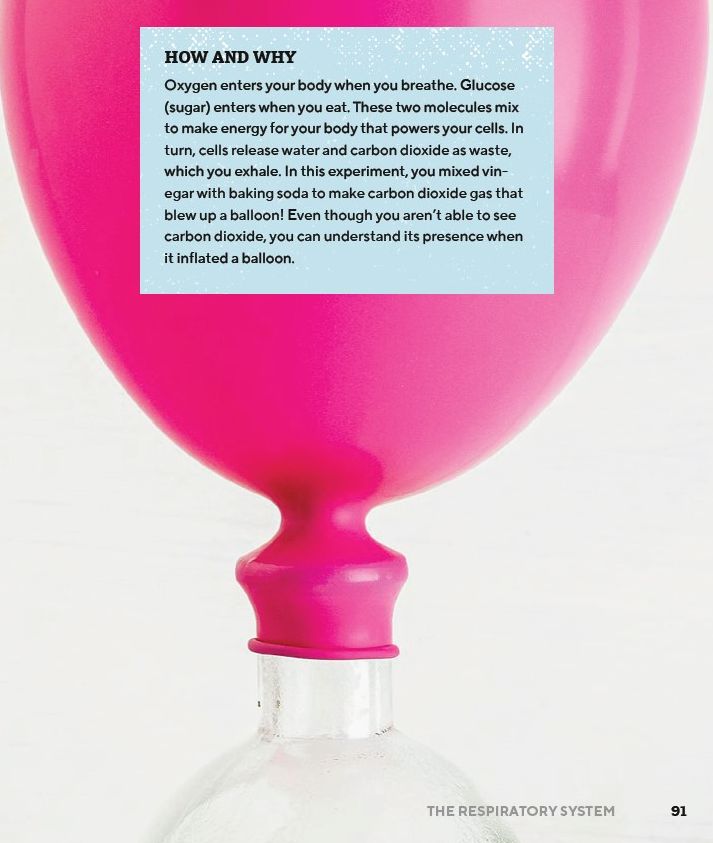 How Does My Body Work? Human Body Book for Kids: STEAM Experiments and Activities for Kids 8-12