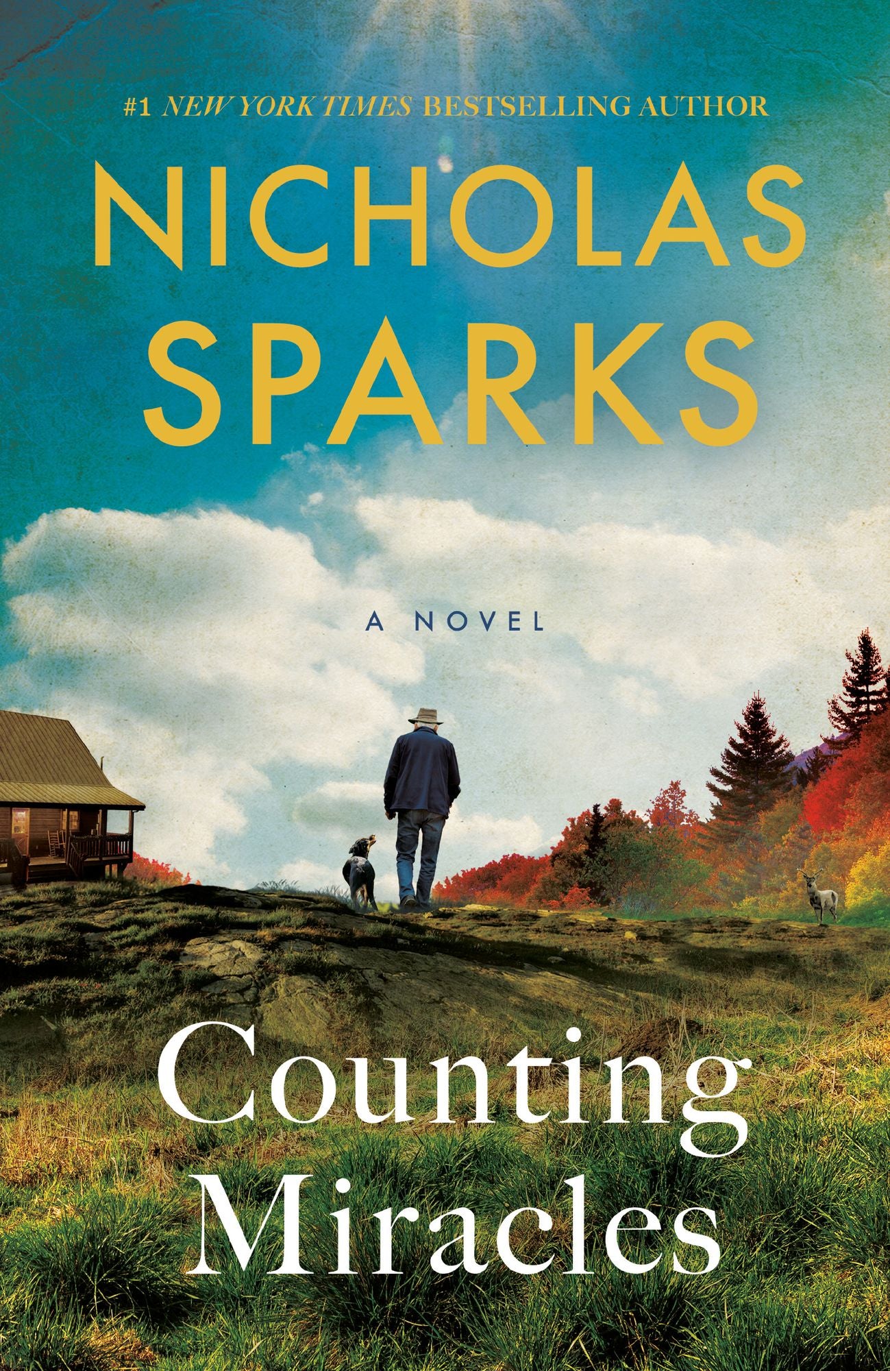 Counting Miracles: A Novel