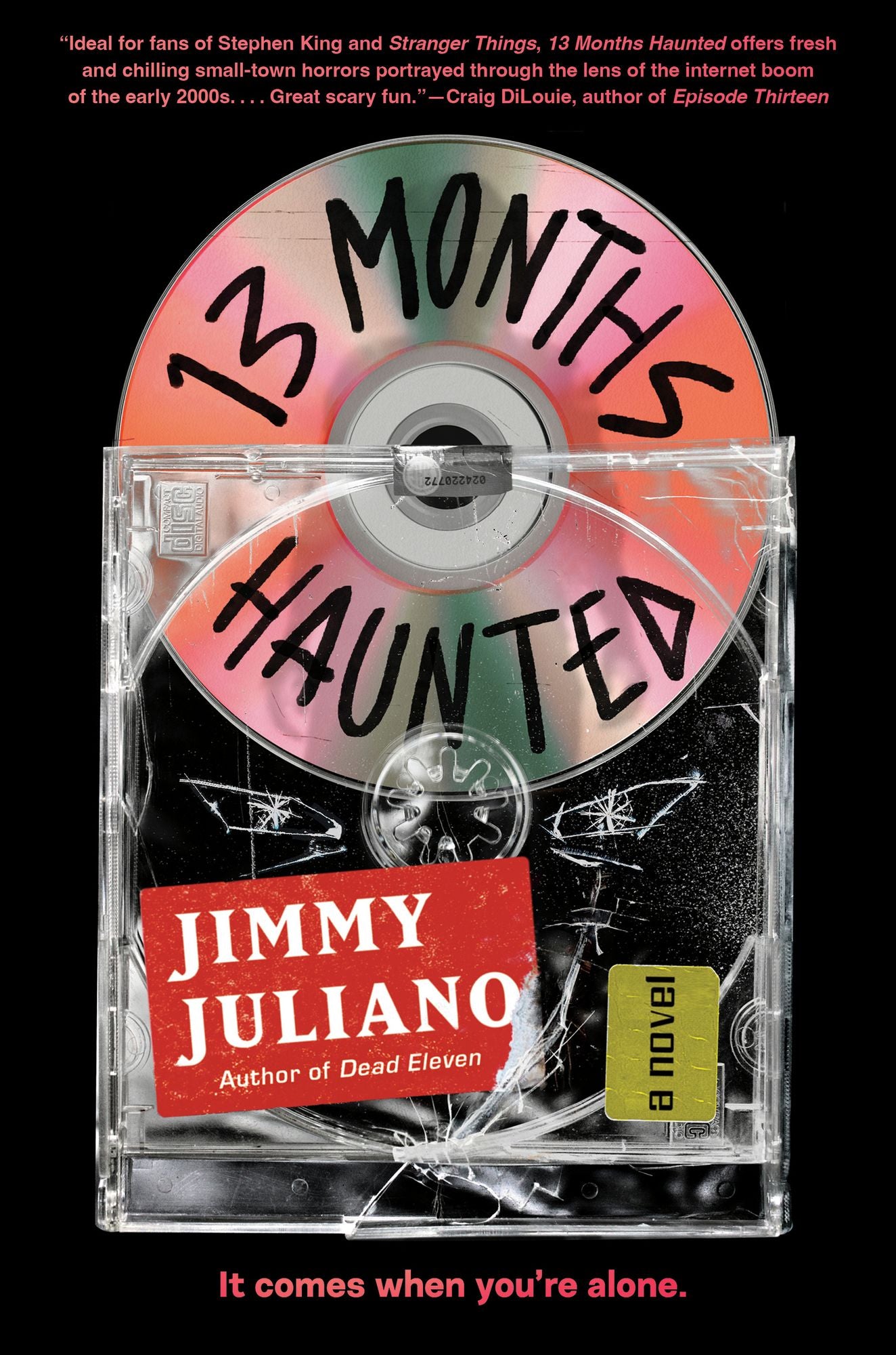 13 Months Haunted: A Novel