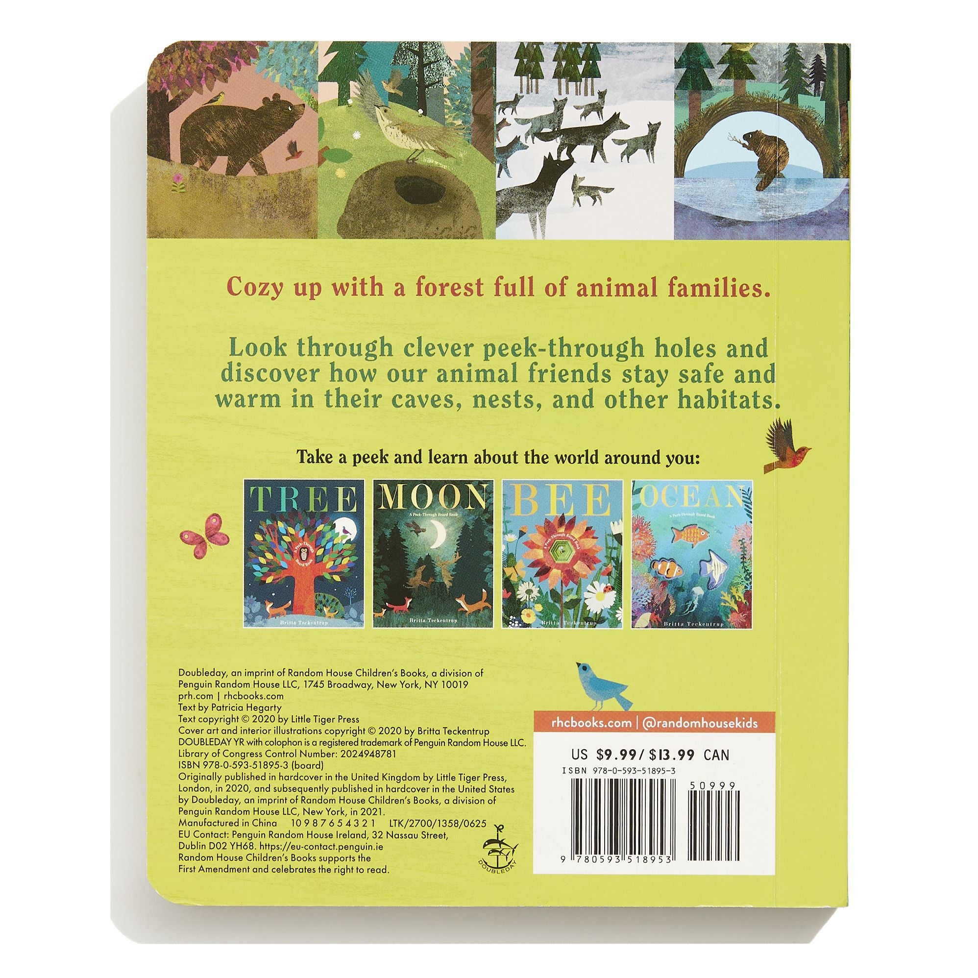 Home: A Peek-Through Board Book