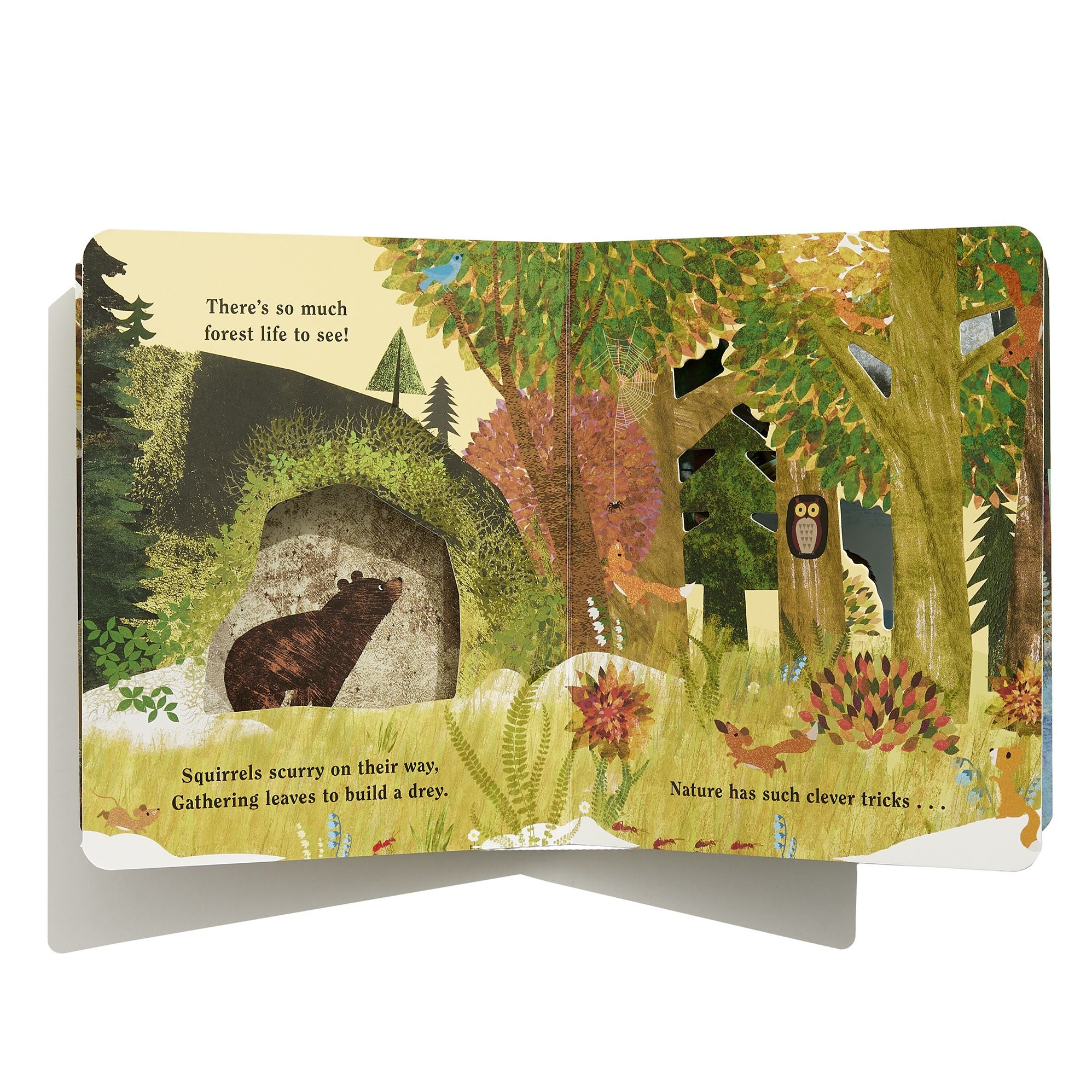 Home: A Peek-Through Board Book