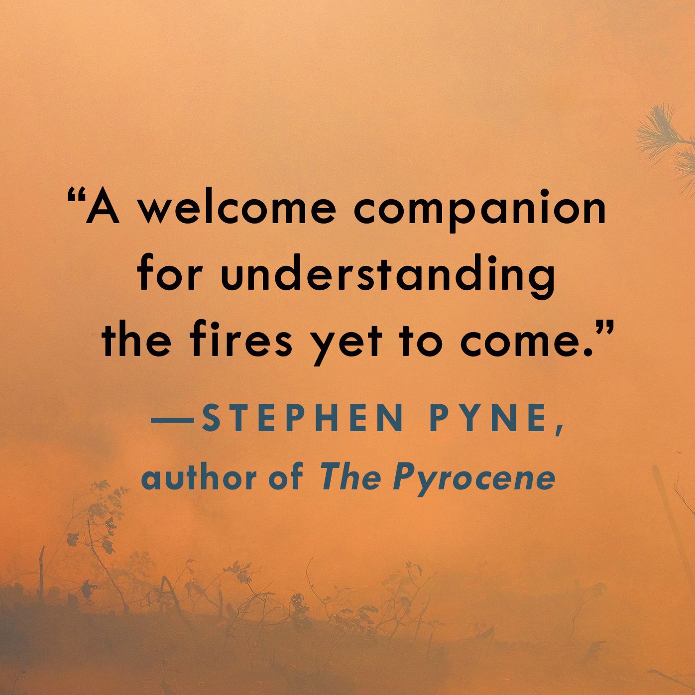 When It All Burns: Fighting Fire in a Transformed World