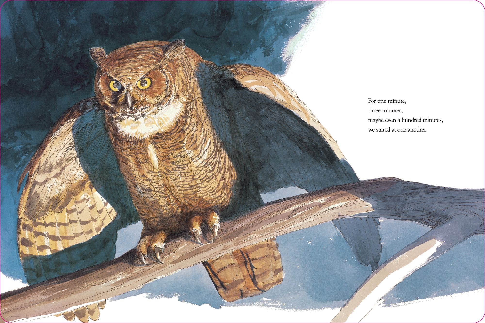 Owl Moon (Caldecott Medal Winner)