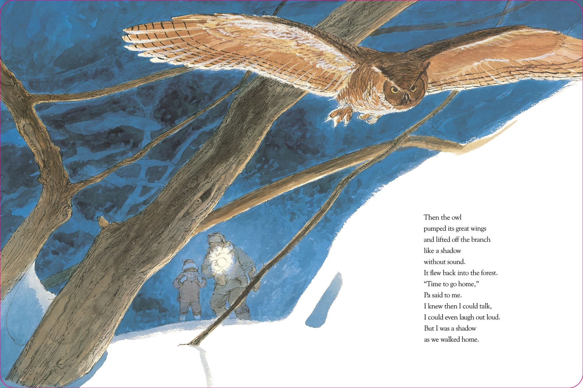 Owl Moon (Caldecott Medal Winner)