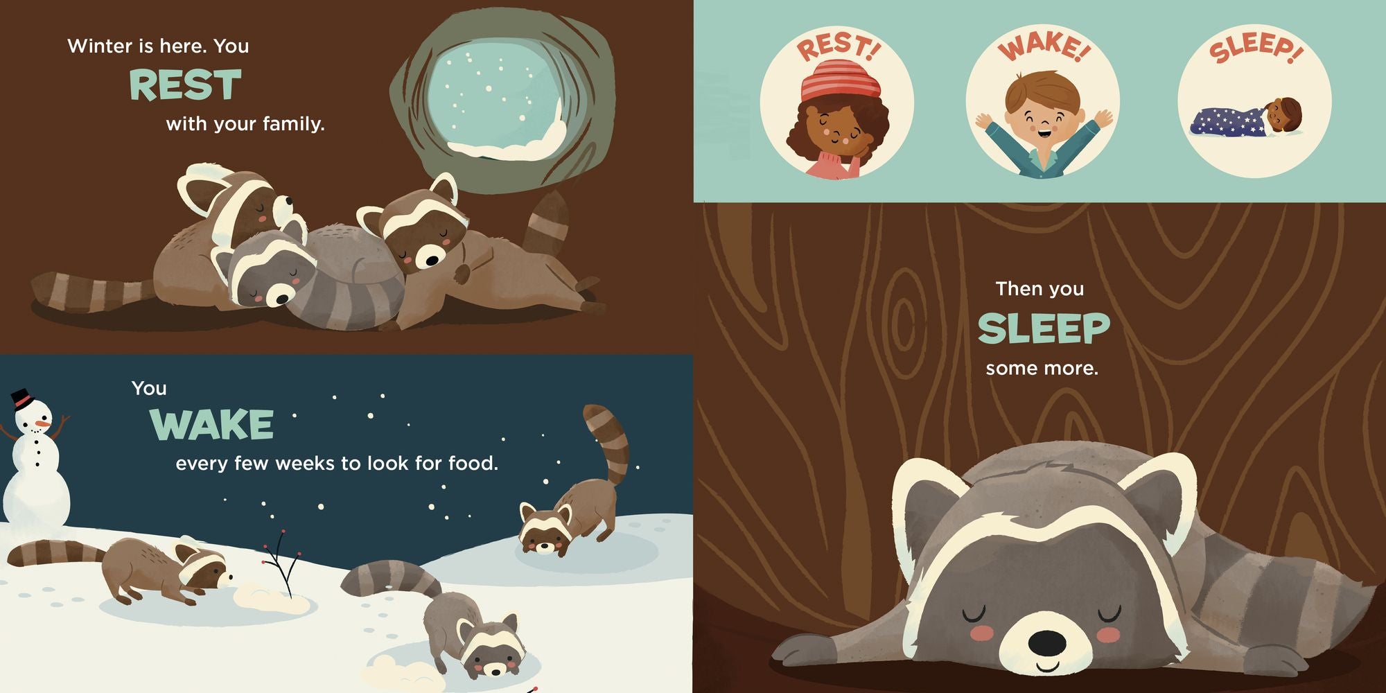 You Are a Raccoon!