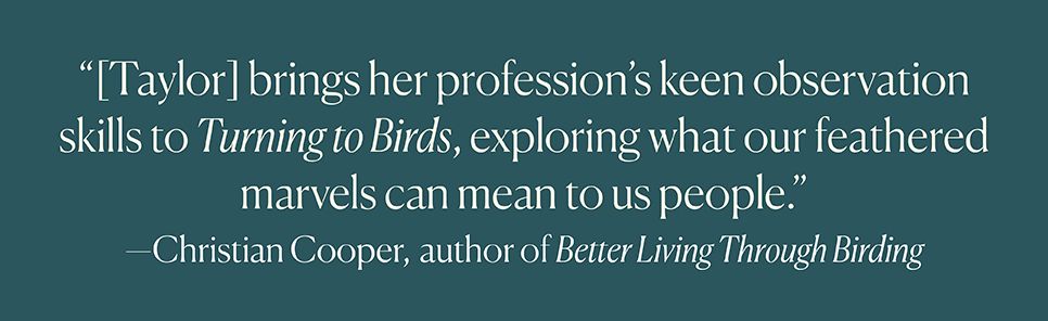 Turning to Birds: The Power and Beauty of Noticing