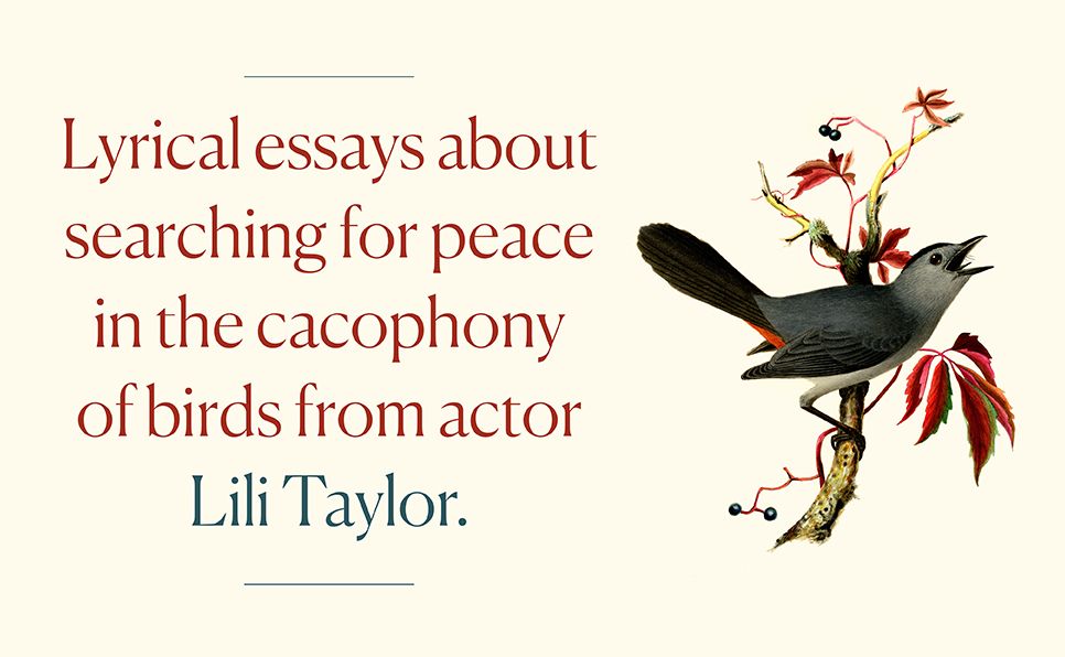Turning to Birds: The Power and Beauty of Noticing