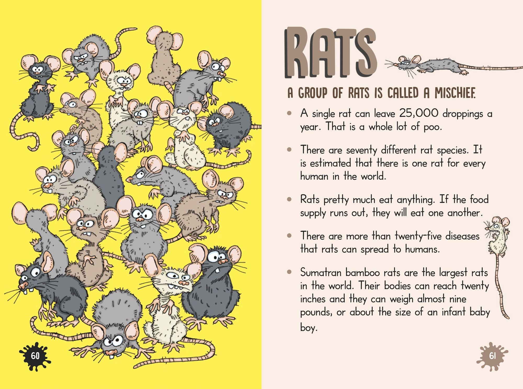 Untamed Grossology: Icky Things in the Great Outdoors