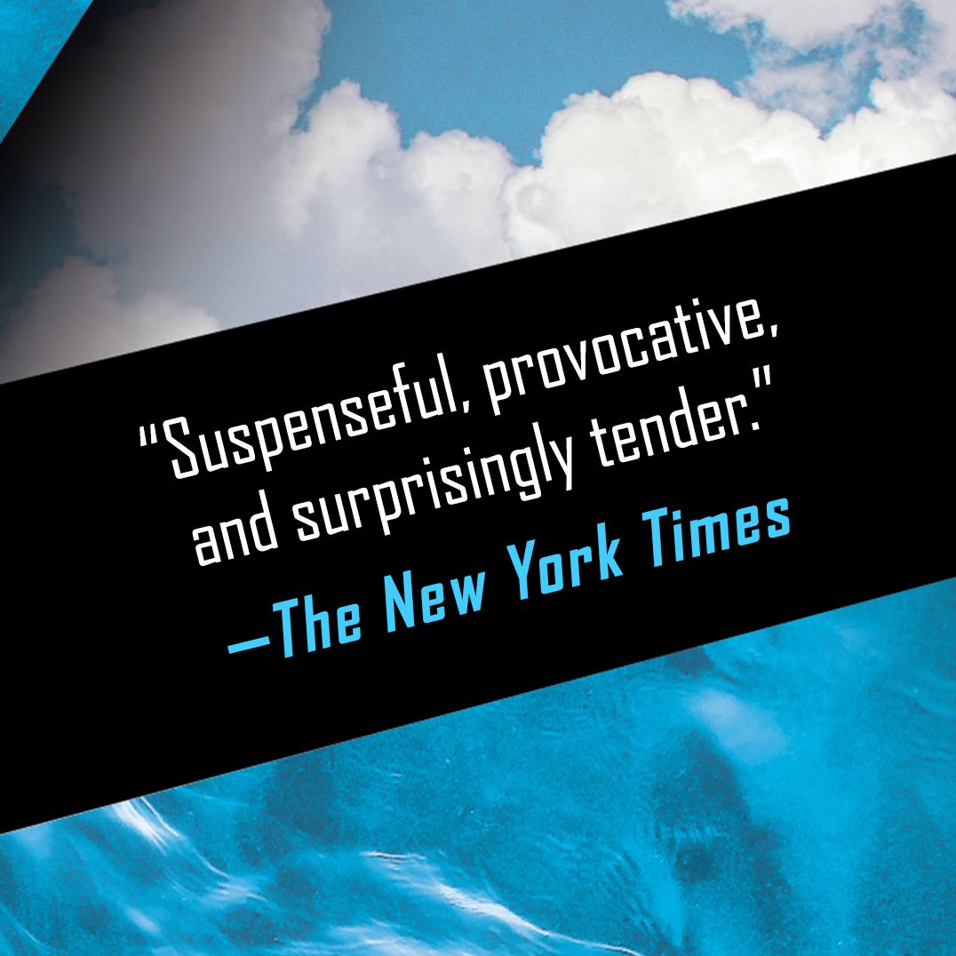 Dissolution: A Novel