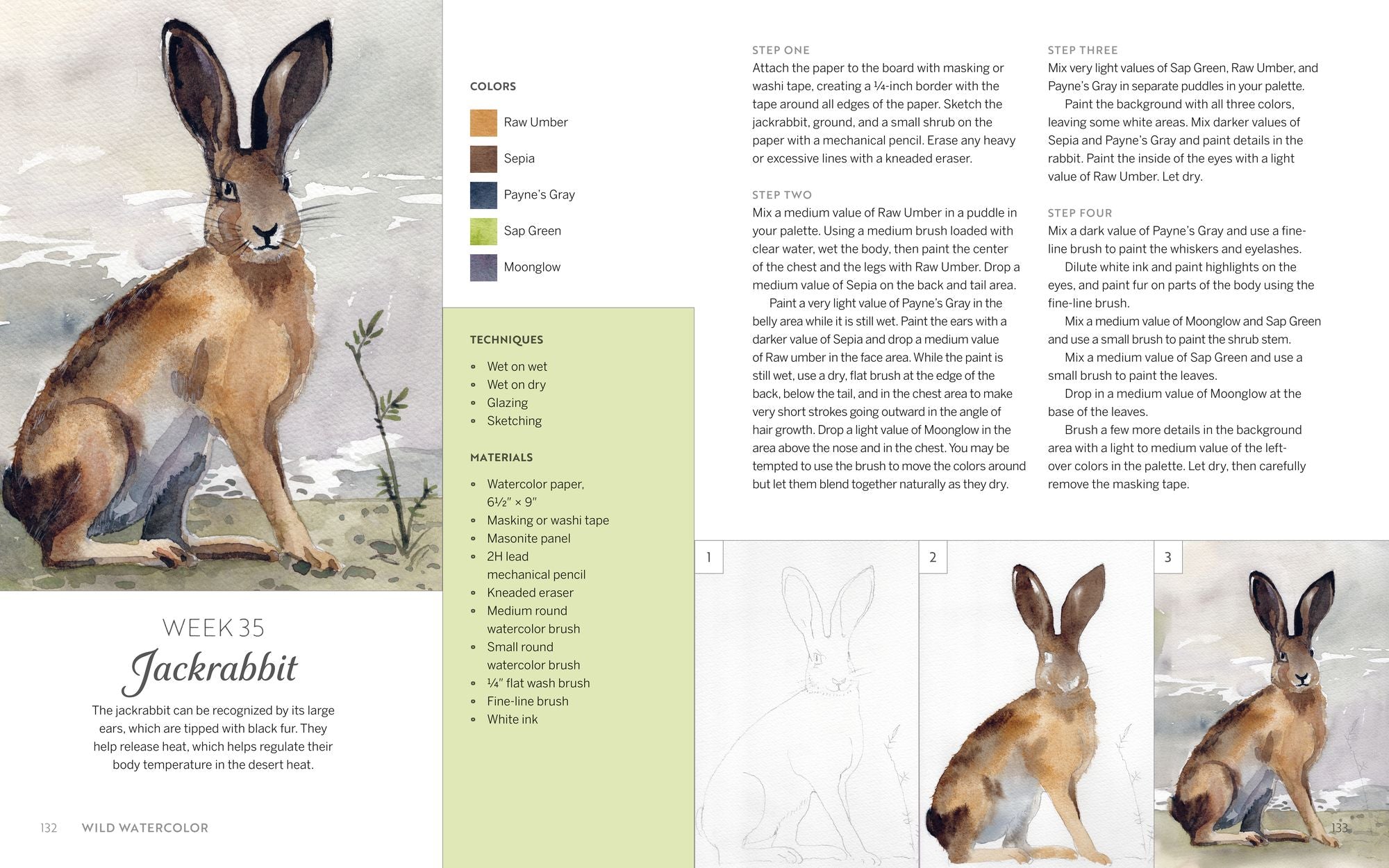 Wild Watercolor: Weekly Lessons and Techniques for Stunning Creations