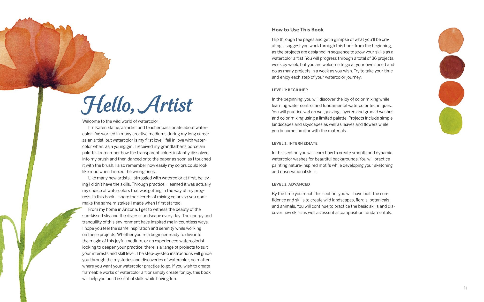 Wild Watercolor: Weekly Lessons and Techniques for Stunning Creations