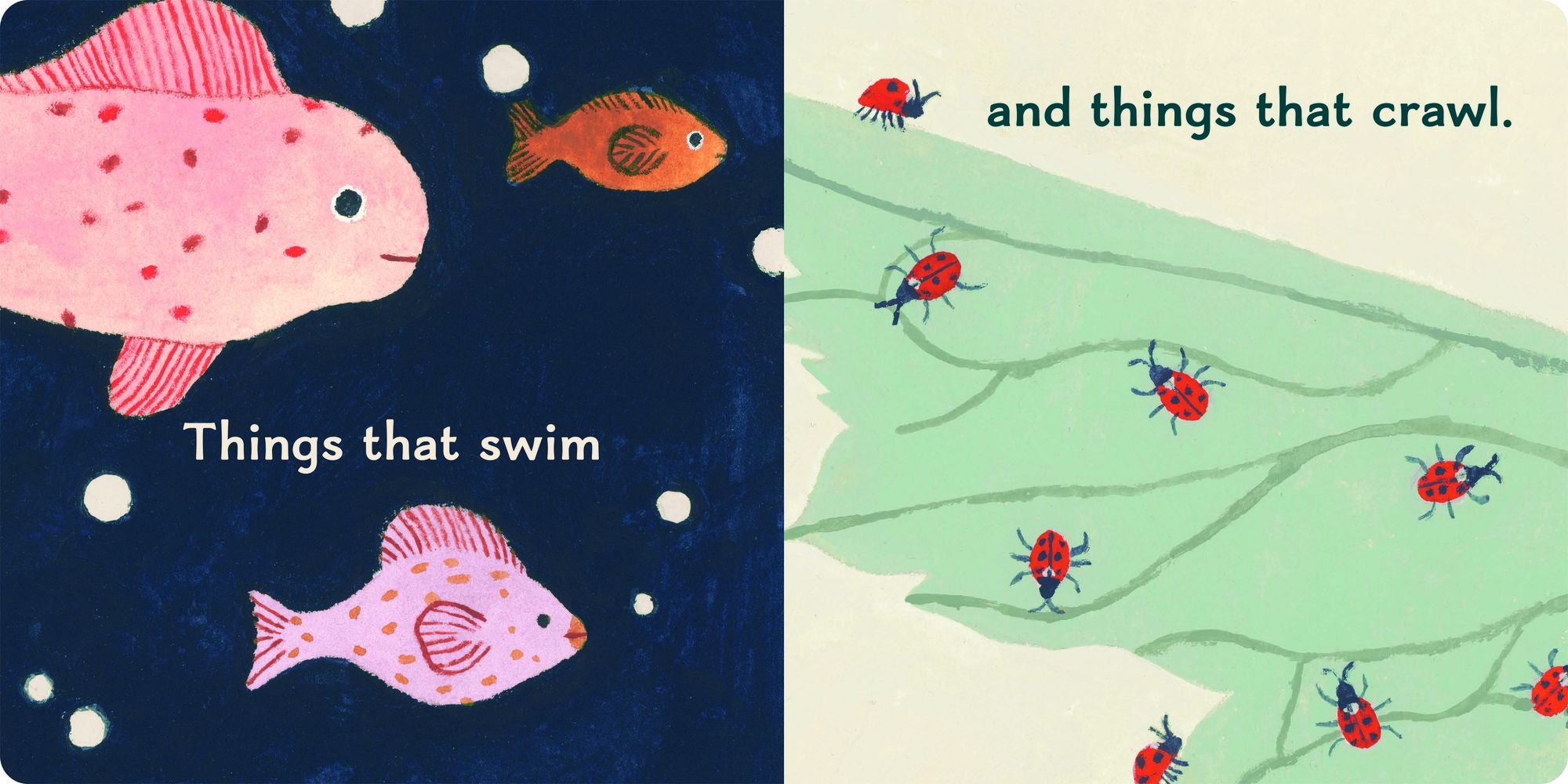A World to Meet