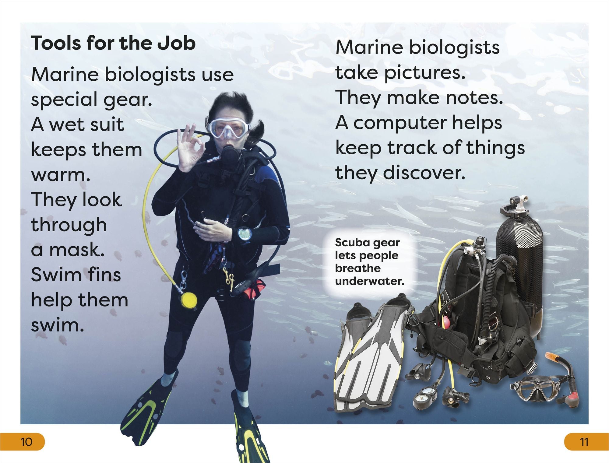 DK Super Readers Level 1 A Day in the Life of a Marine Biologist