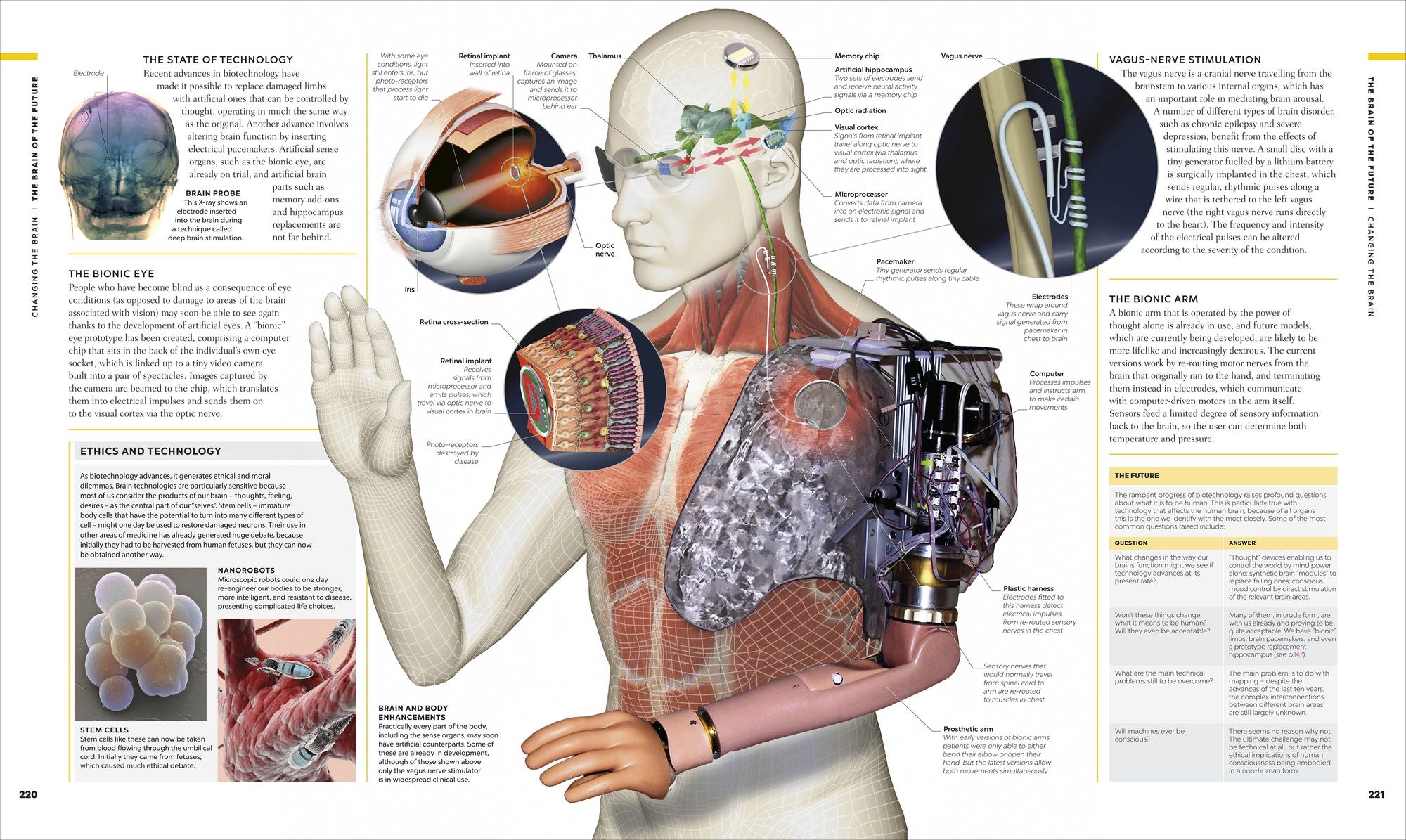 The Human Brain Book: A Visual Guide to the Structure and Function