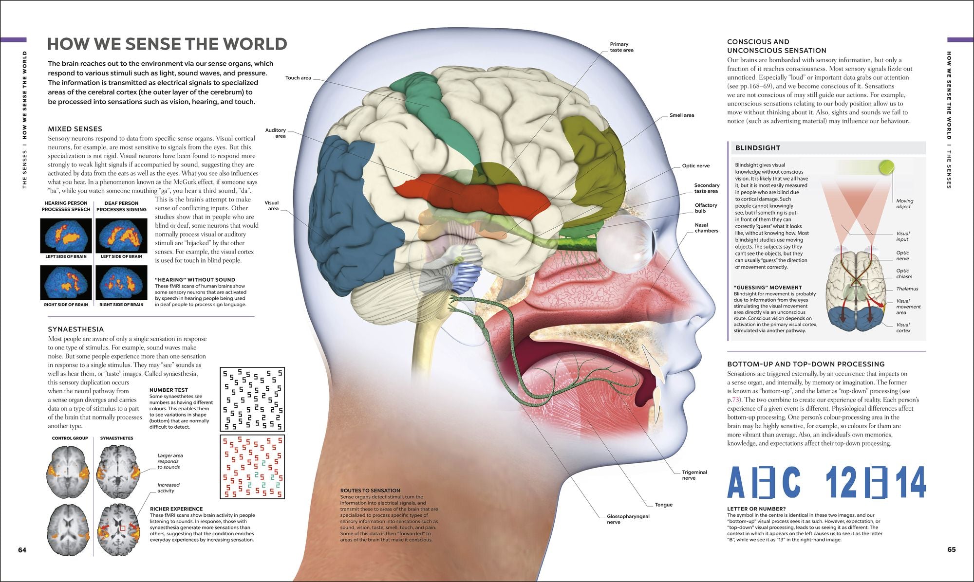 The Human Brain Book: A Visual Guide to the Structure and Function