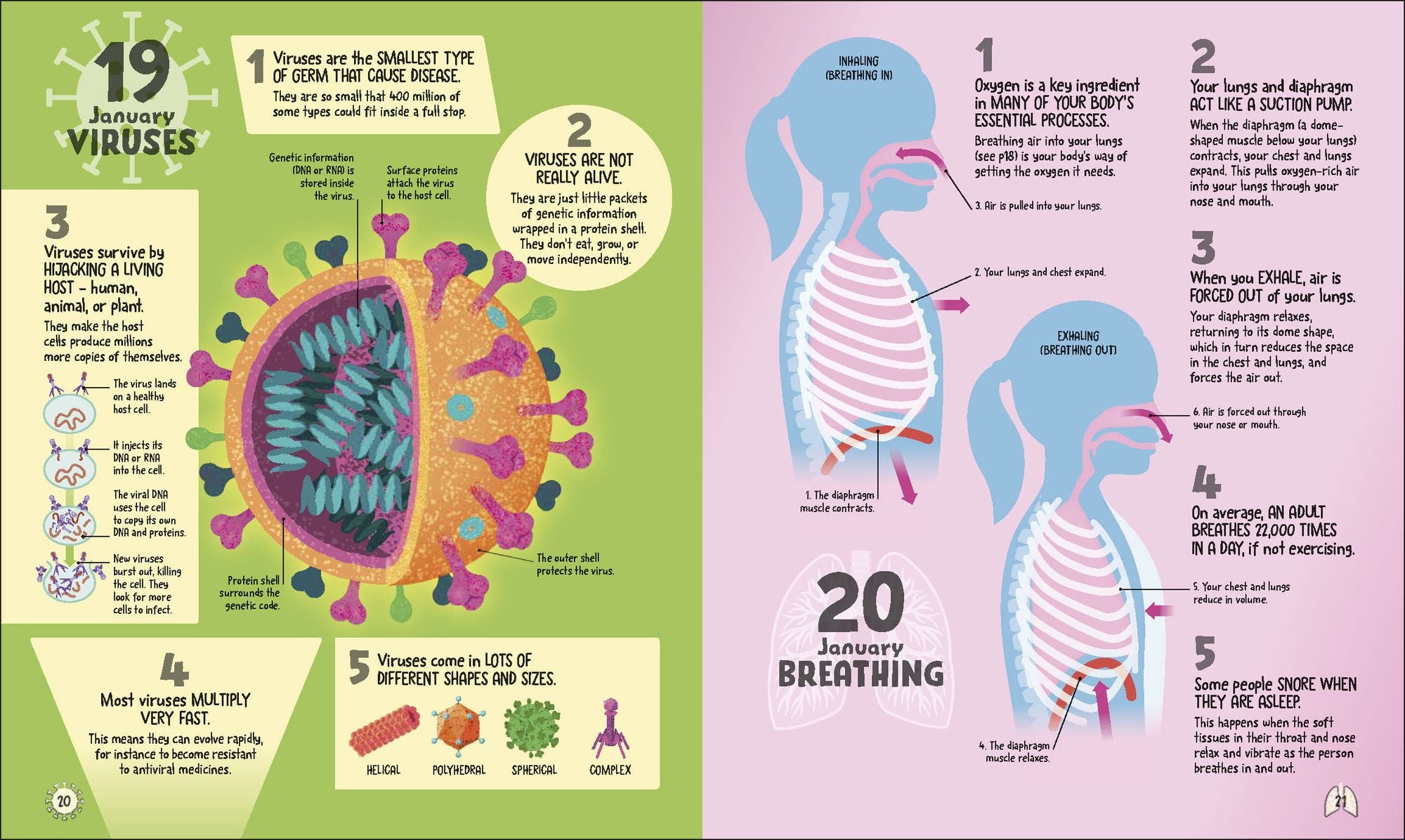 5 Facts a Day Science: A Little Bit of Learning Every Day