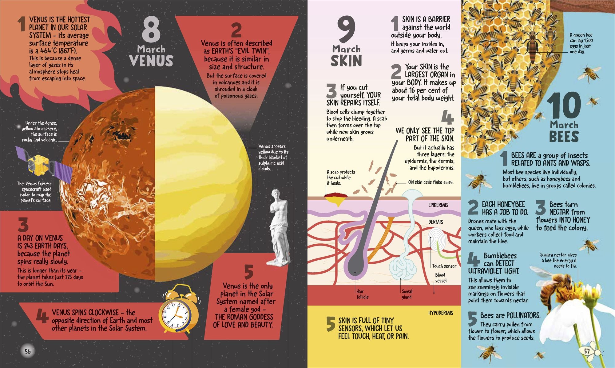5 Facts a Day Science: A Little Bit of Learning Every Day