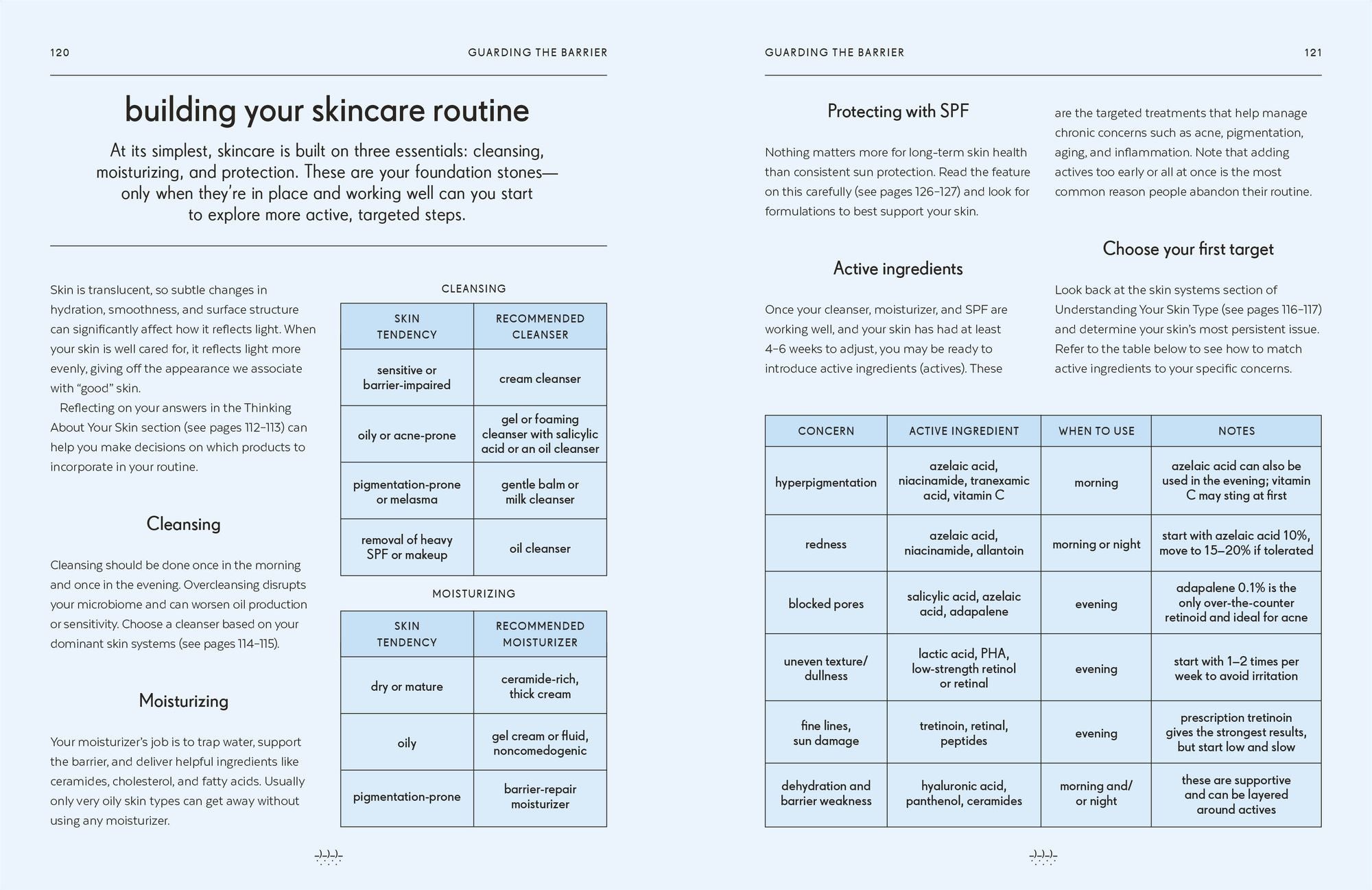 Skin: An Owner's Guide
