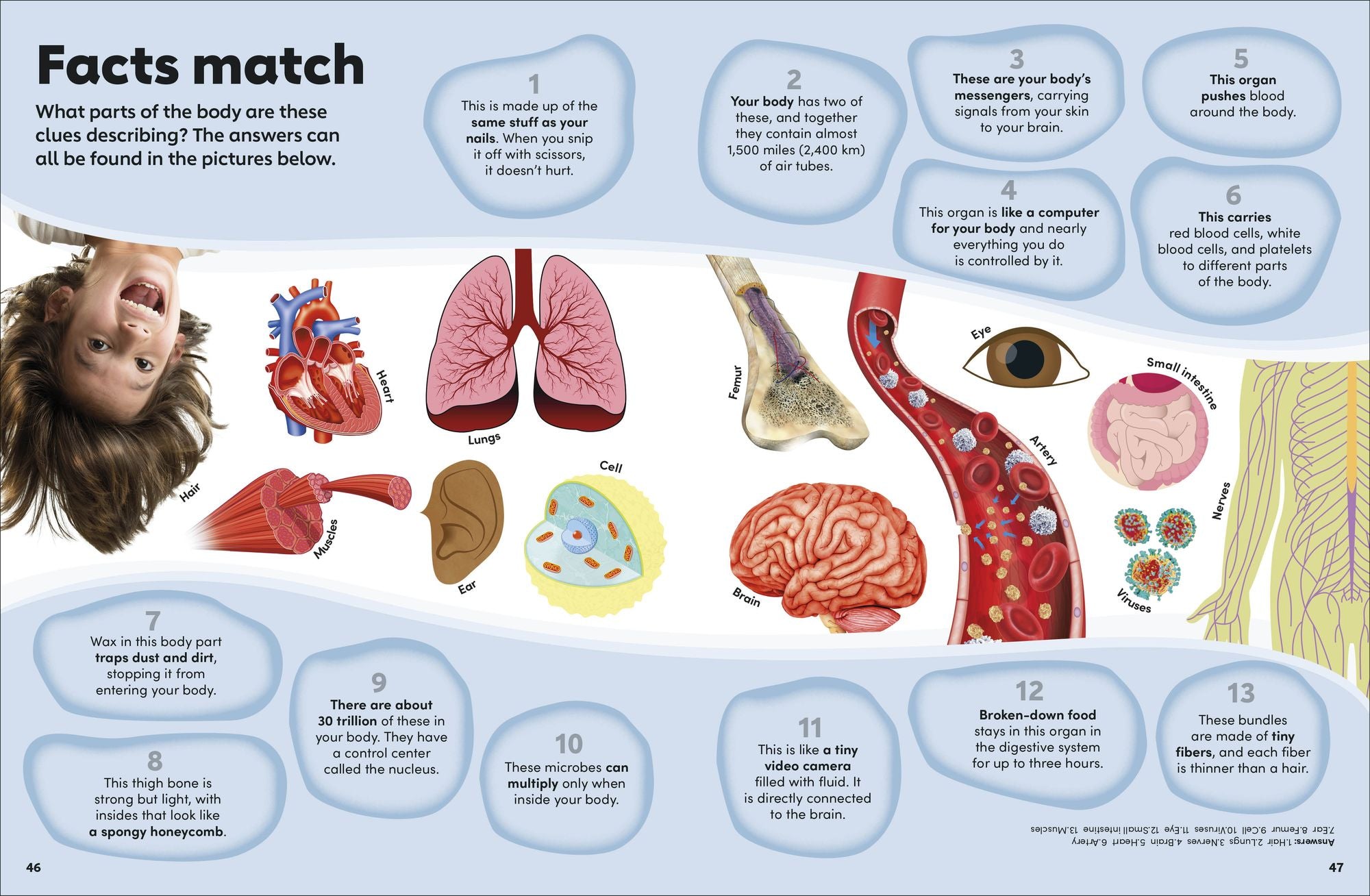 Eyewonder Human Body: Open Your Eyes to a World of Discovery