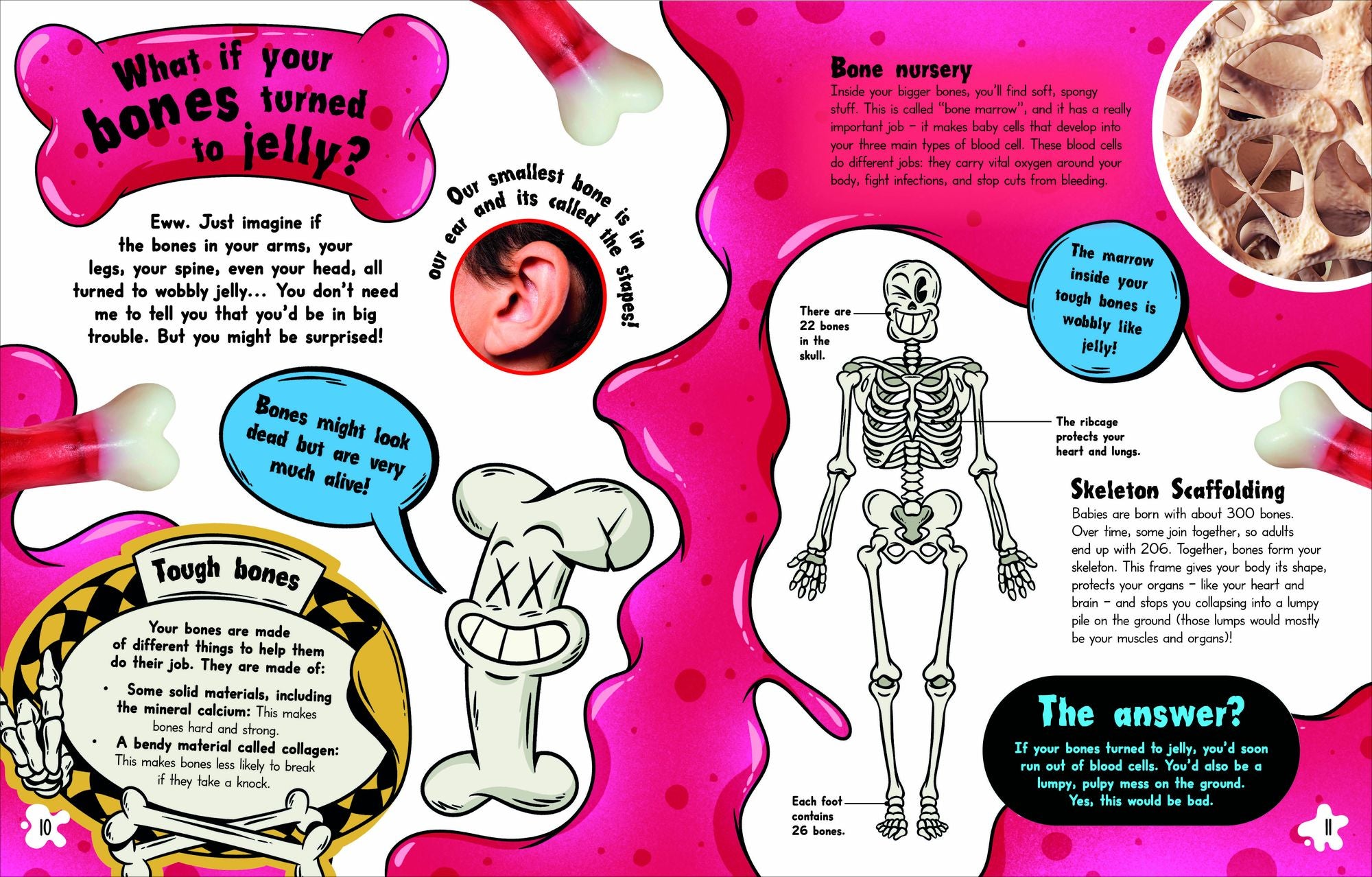 What If... You Didn't Make Snot?: And Other Amazing Human Body Questions