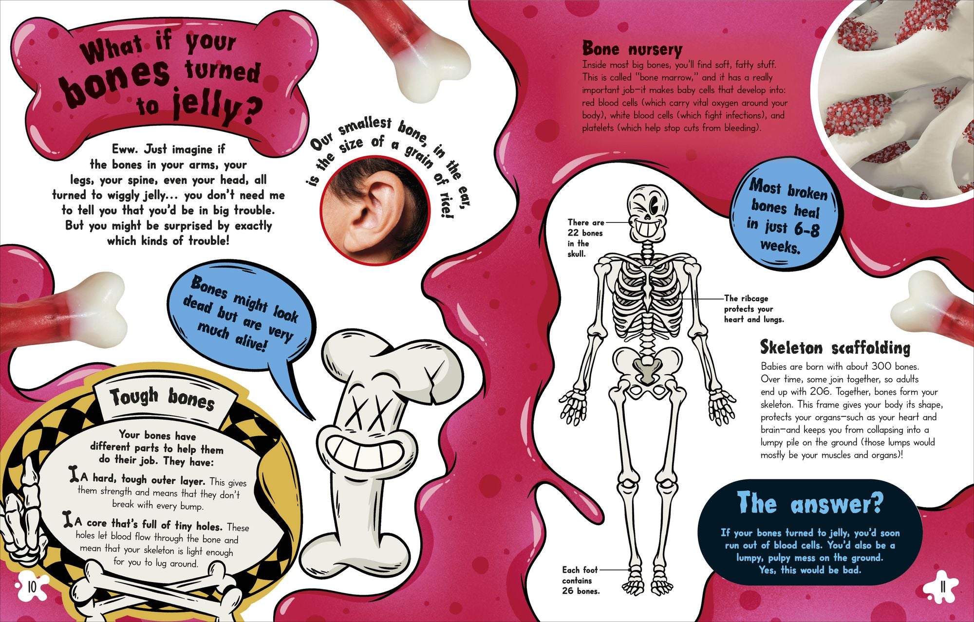 What If... You Didn't Make Snot?: And Other Amazing Human Body Questions
