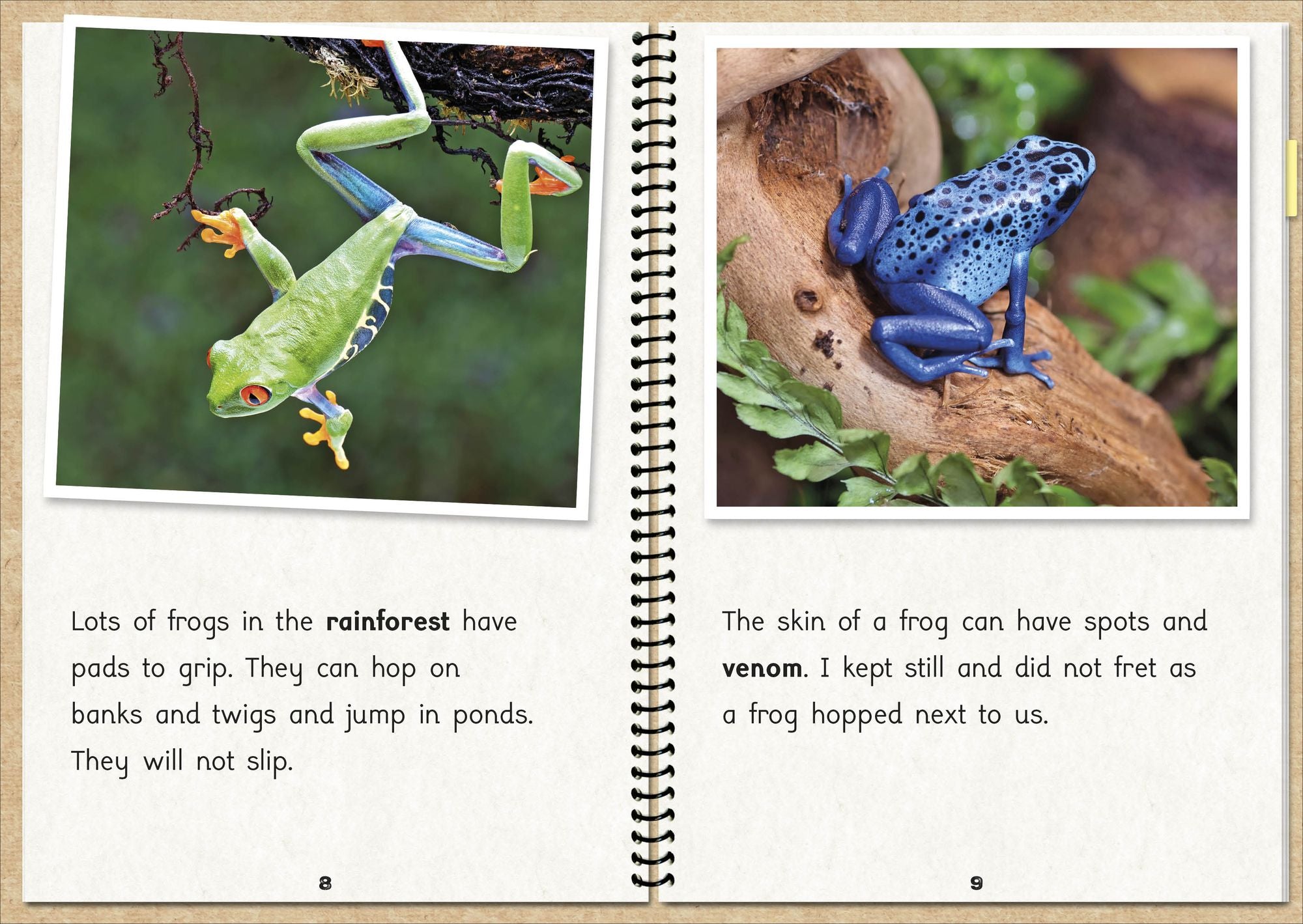 Phonic Books The Fact Files 1: Consonant blends and digraphs, suffixes -ed and -ing