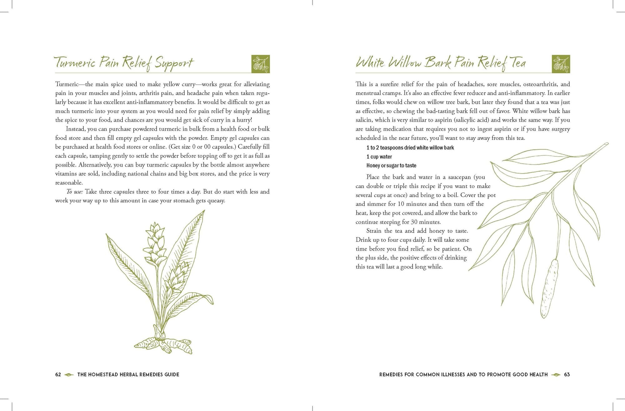 The Homestead Herbal Remedies Guide: Nurture Wellness with Safe and Natural Solutions