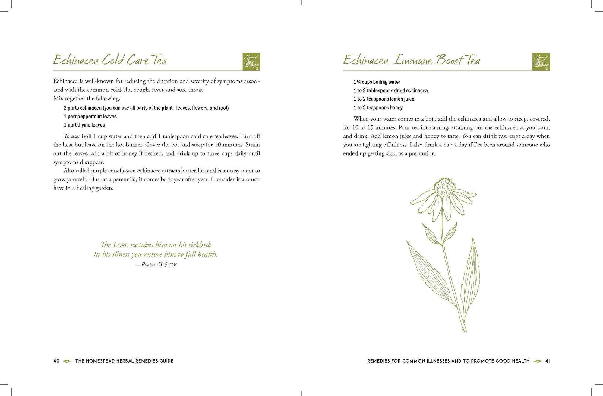 The Homestead Herbal Remedies Guide: Nurture Wellness with Safe and Natural Solutions