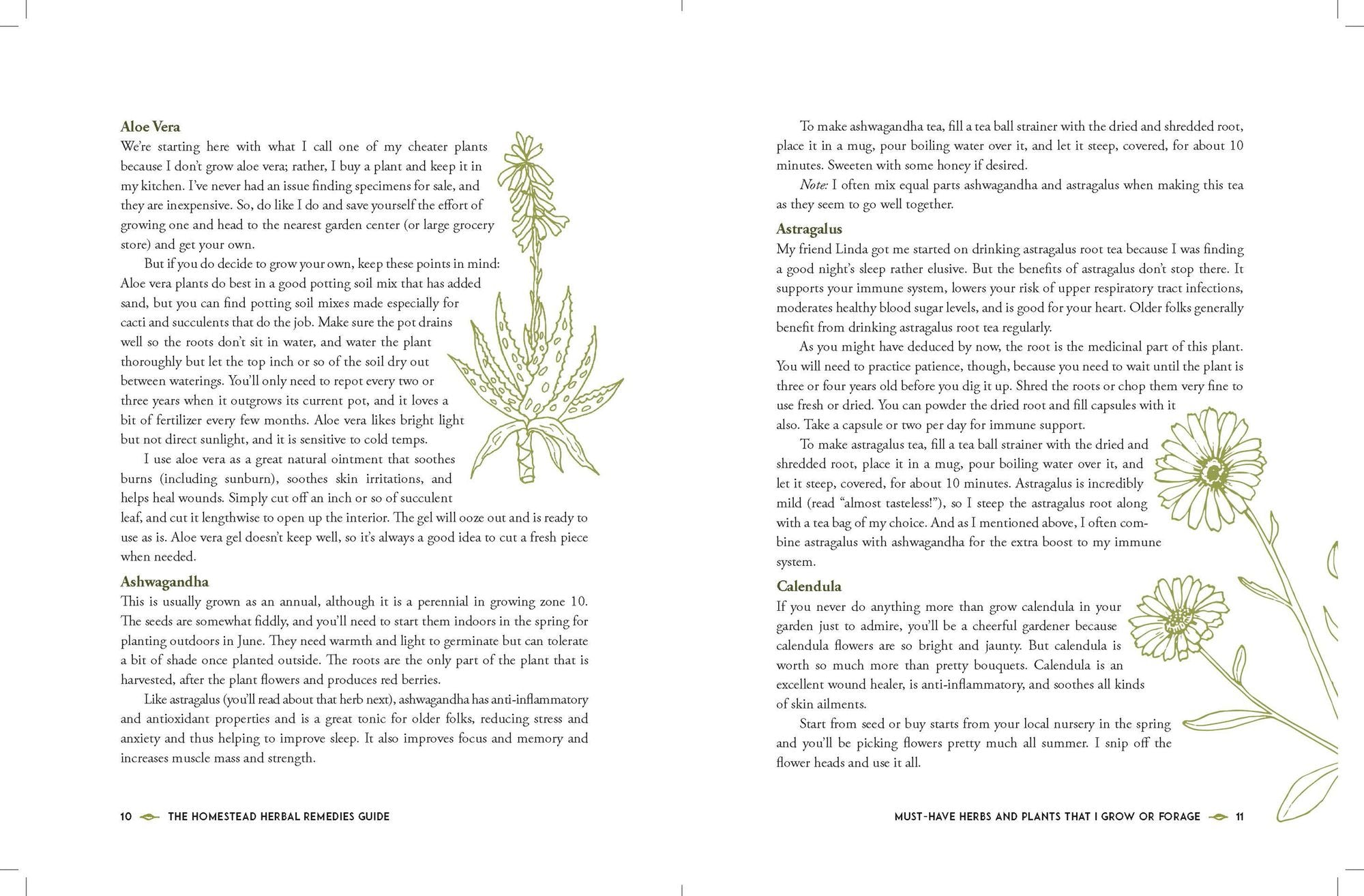 The Homestead Herbal Remedies Guide: Nurture Wellness with Safe and Natural Solutions