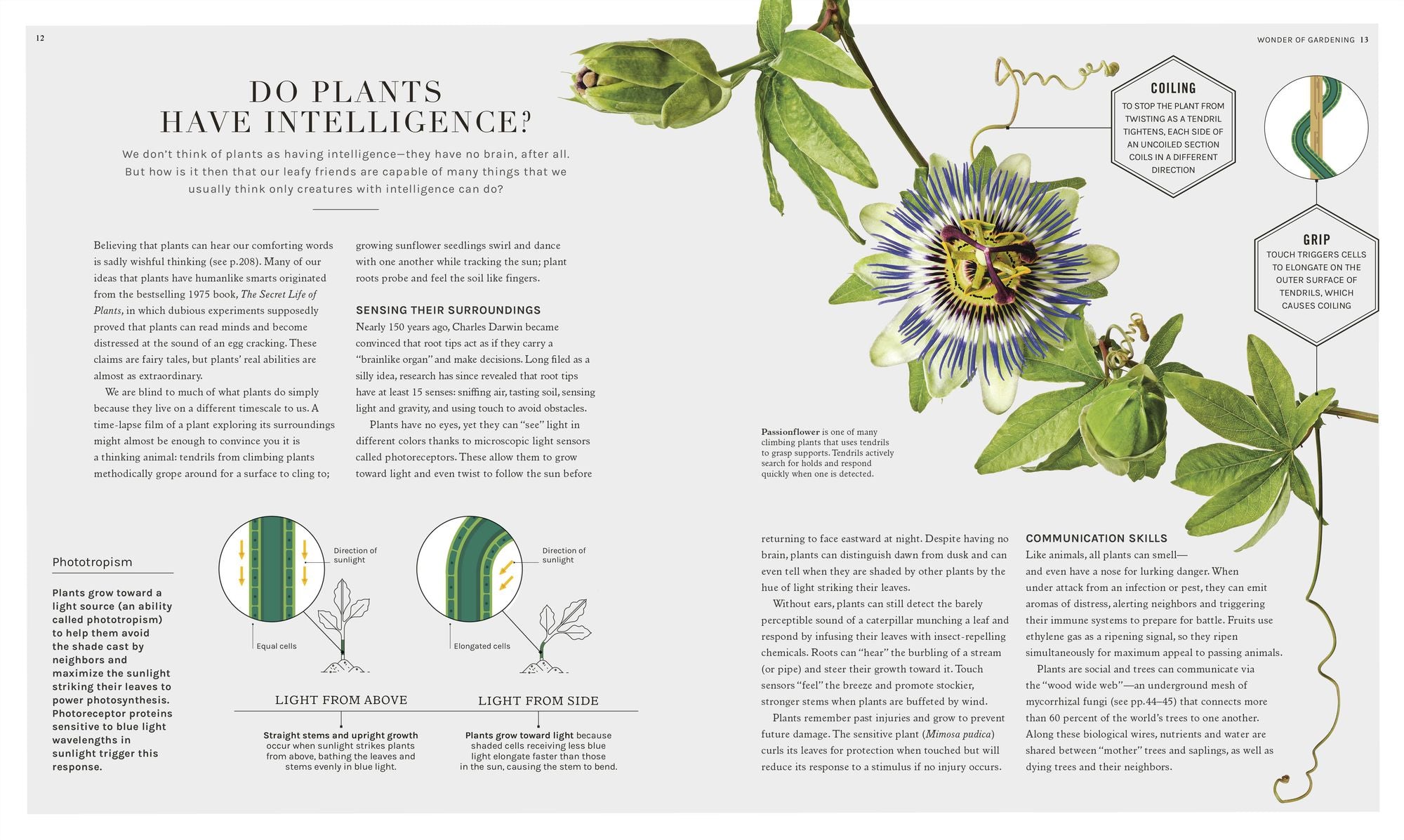 The Science of Gardening: Discover How Your Garden Really Grows