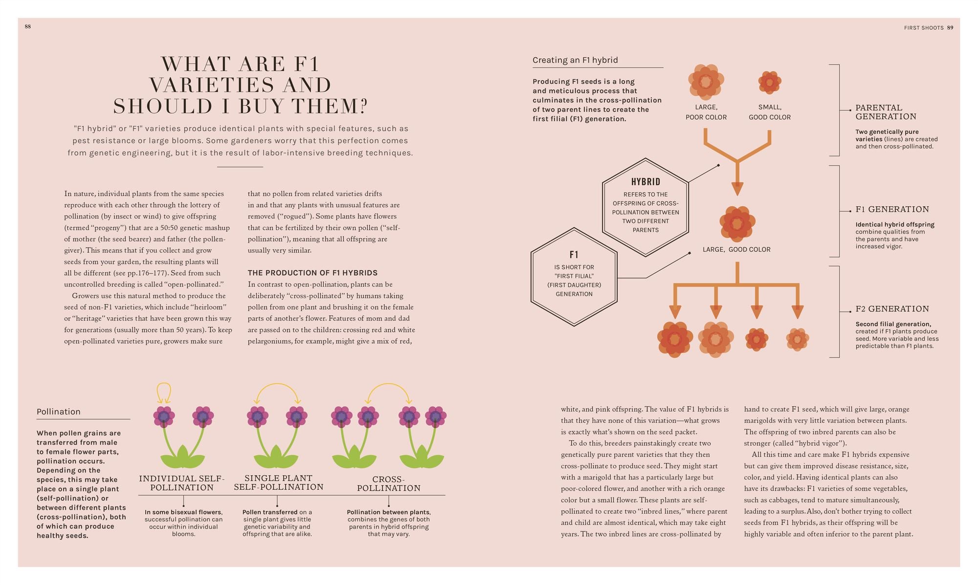 The Science of Gardening: Discover How Your Garden Really Grows