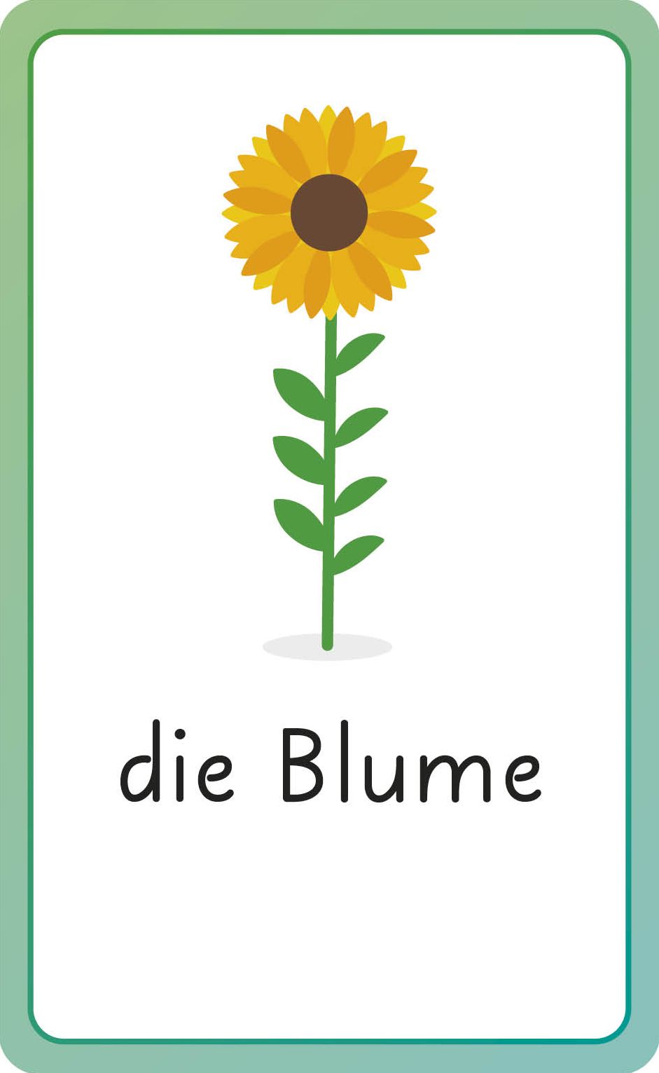 German for Everyone Junior First Words Flash Cards