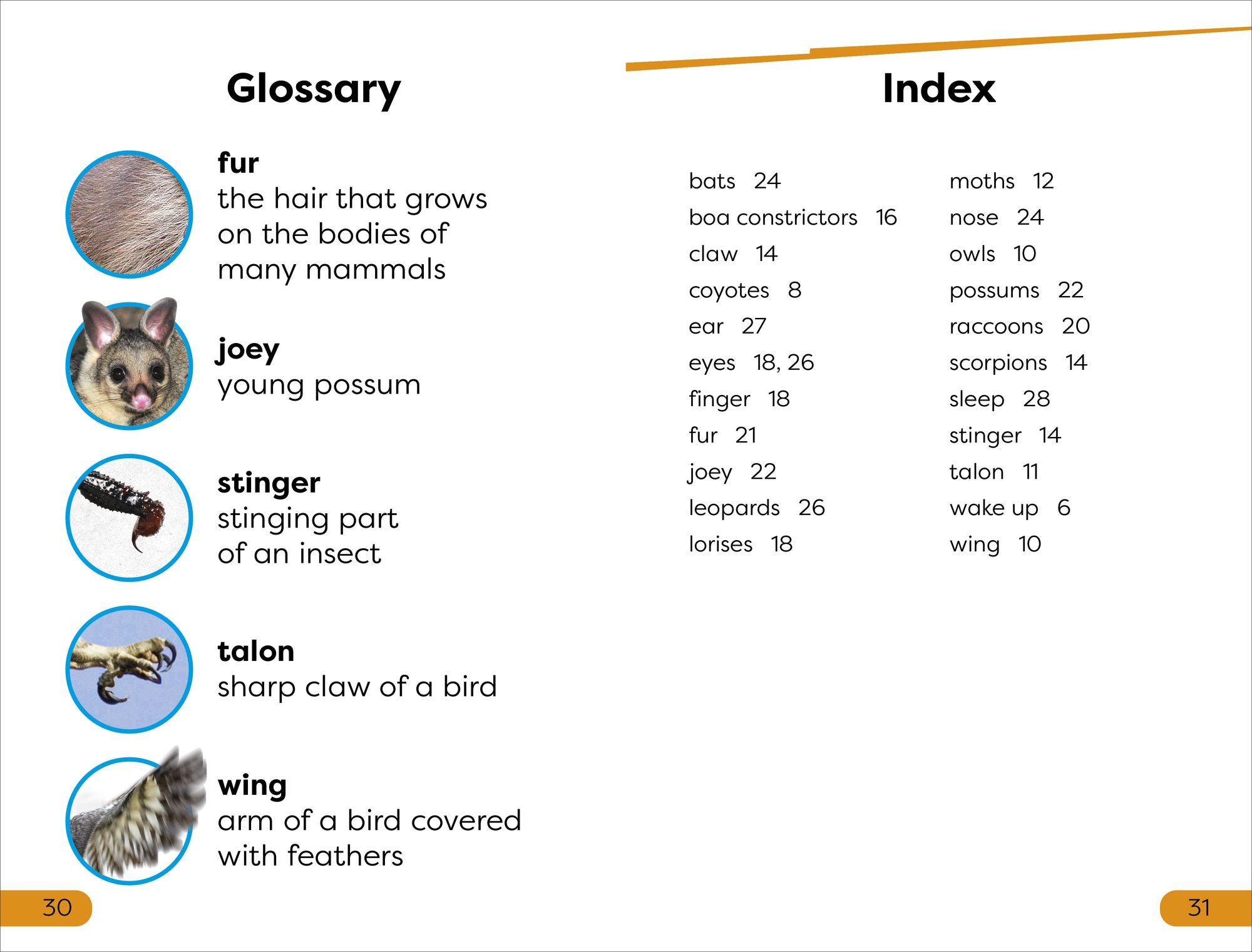 DK Super Readers Level 1 Nighttime Animals