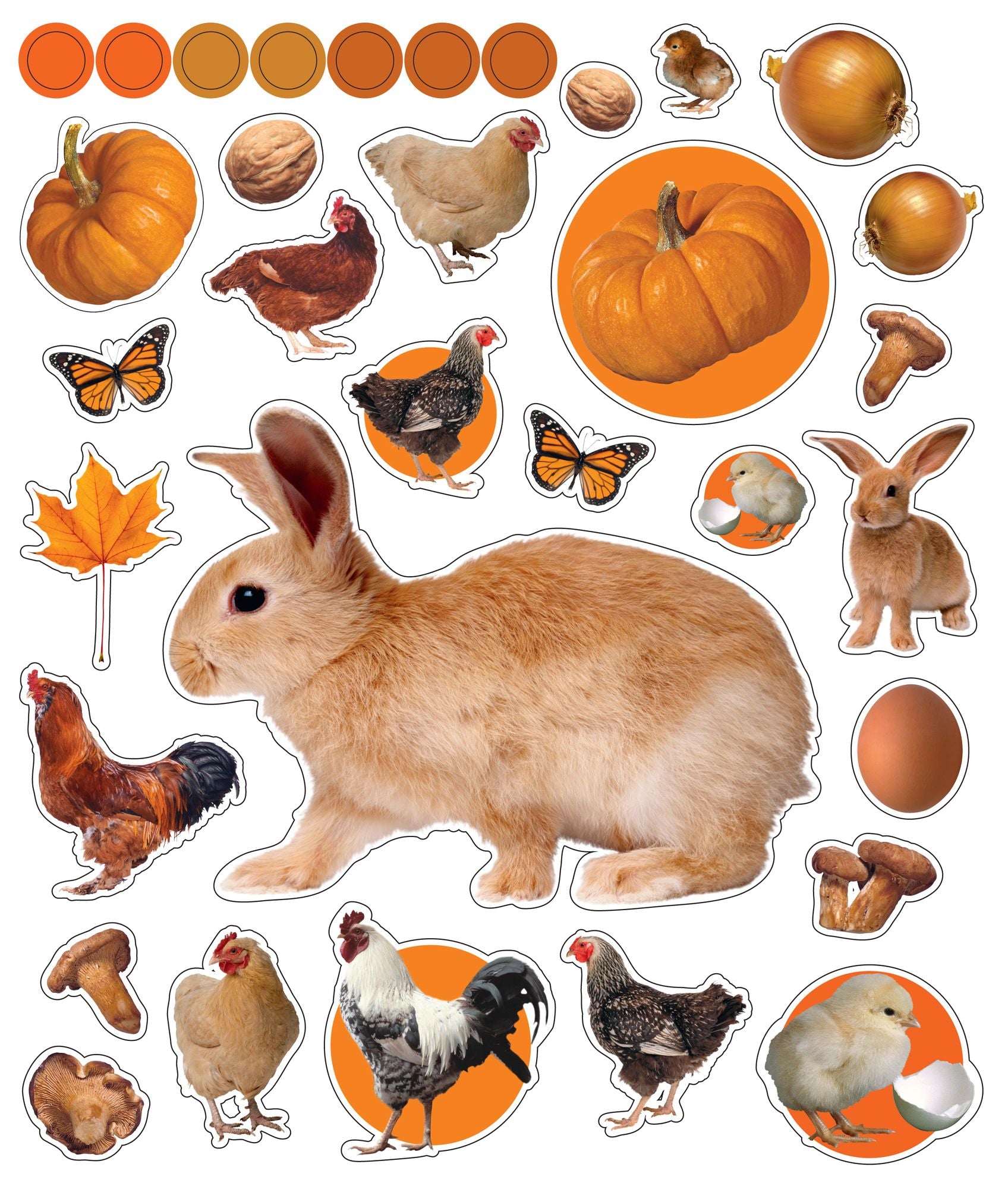 Eyelike Stickers: On the Farm