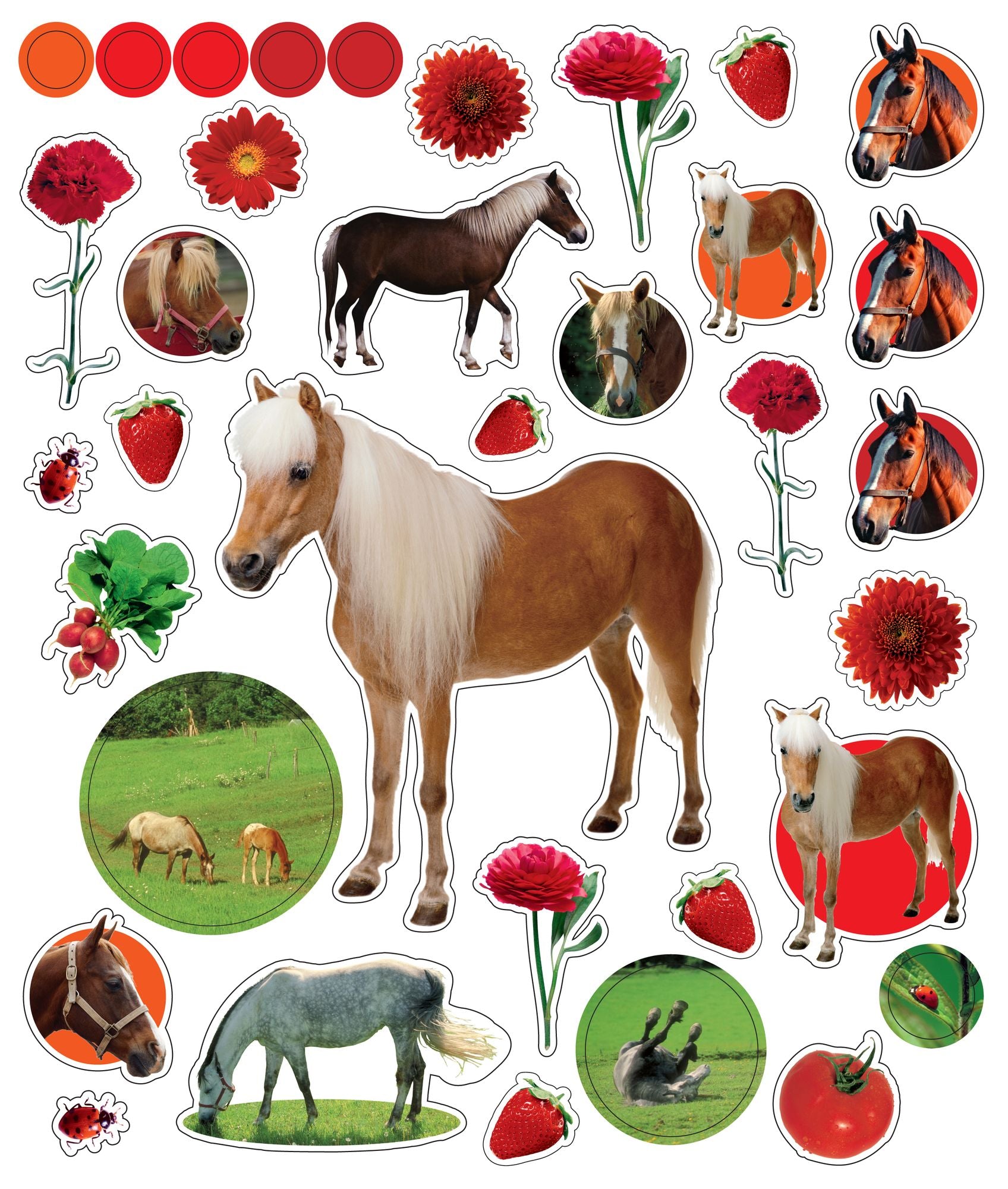 Eyelike Stickers: On the Farm