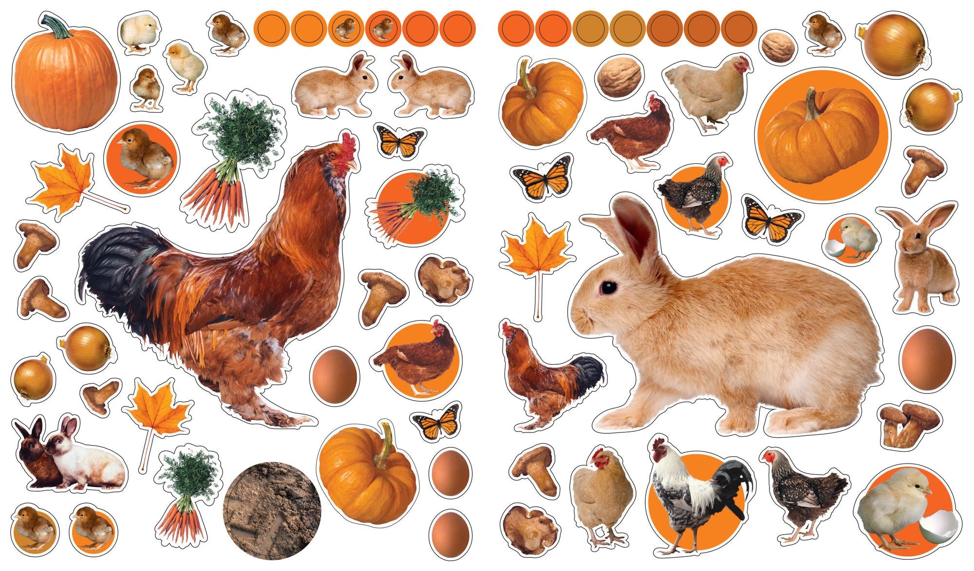 Eyelike Stickers: On the Farm