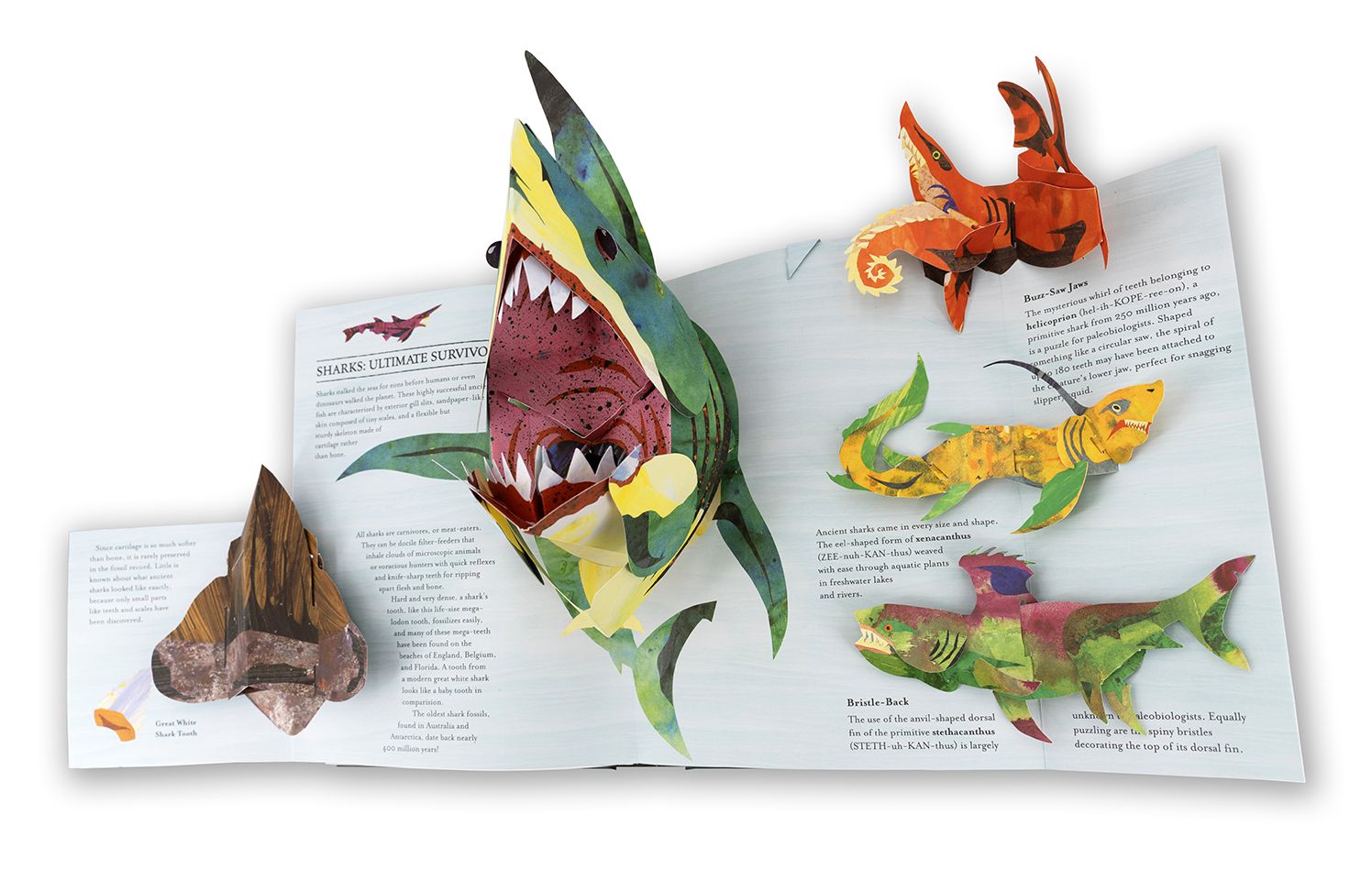 Sharks and Other Sea Monsters (Encyclopedia Prehistorica Series)