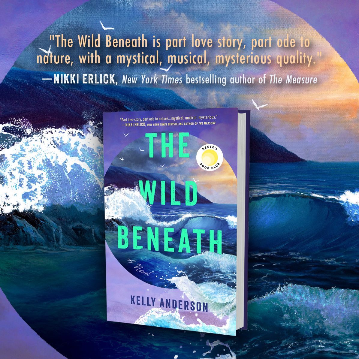 The Wild Beneath (Reese's Book Club Pick)