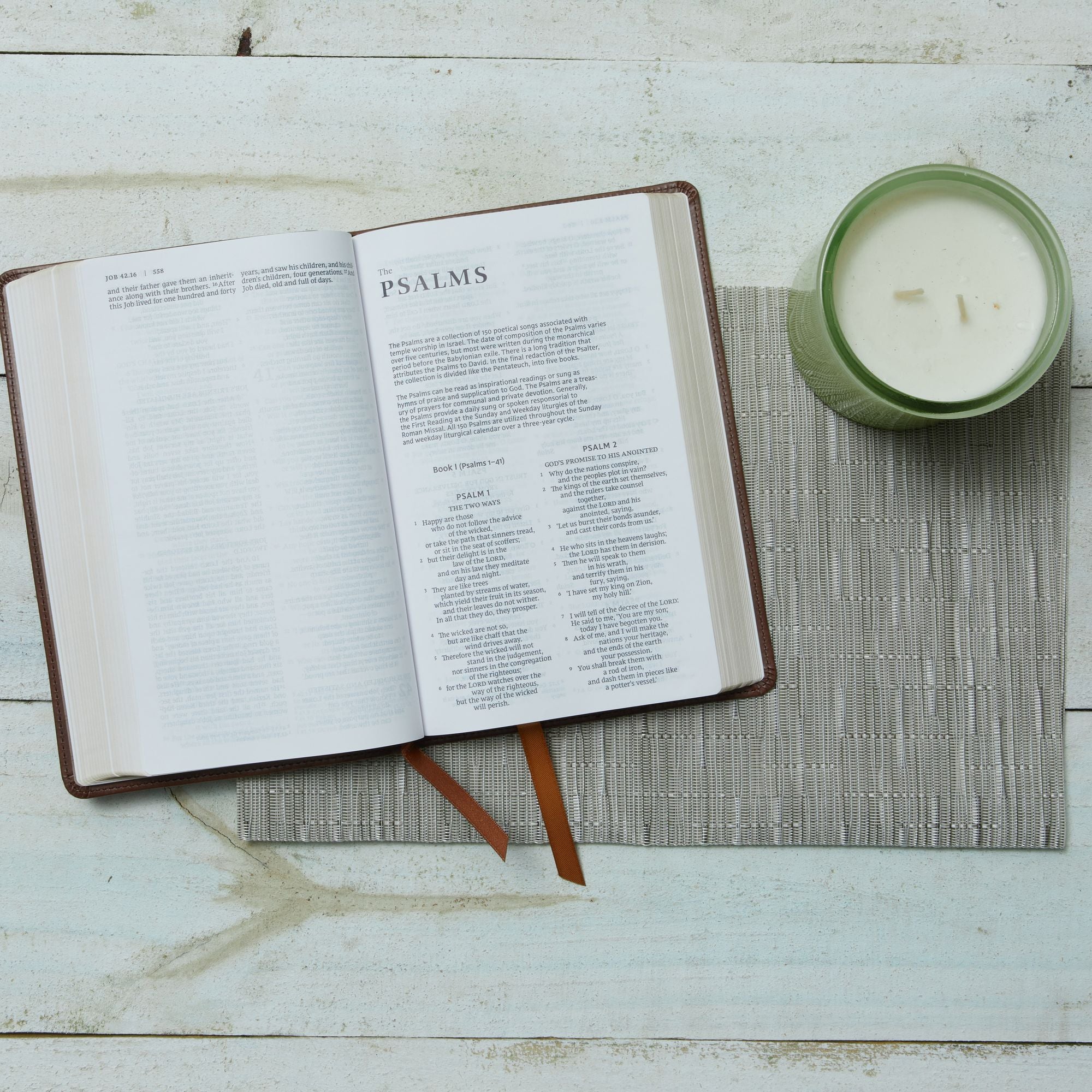 NRSV Catholic Edition Gift Bible, Teal Leathersoft (Comfort Print, Holy Bible, Complete Catholic Bible, NRSV CE): Holy Bible