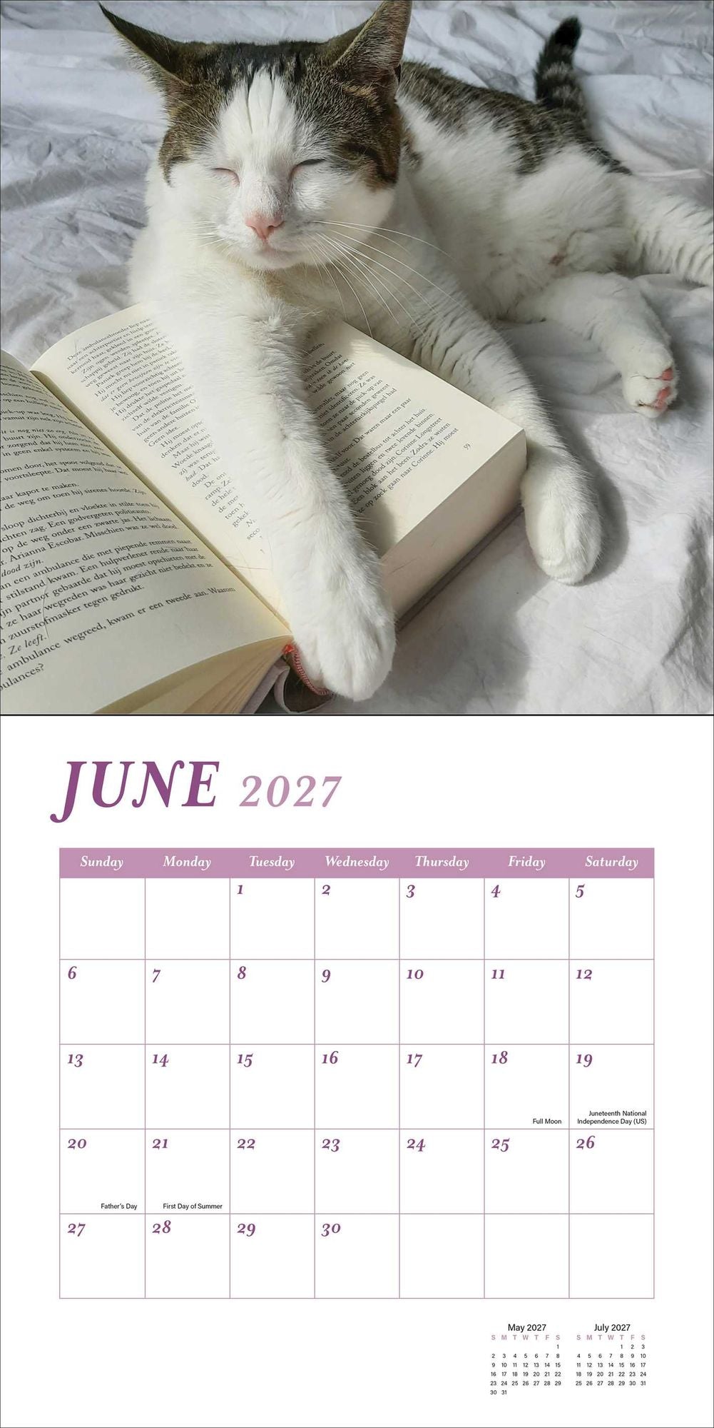 2027 Cats and Books Wall Calendar