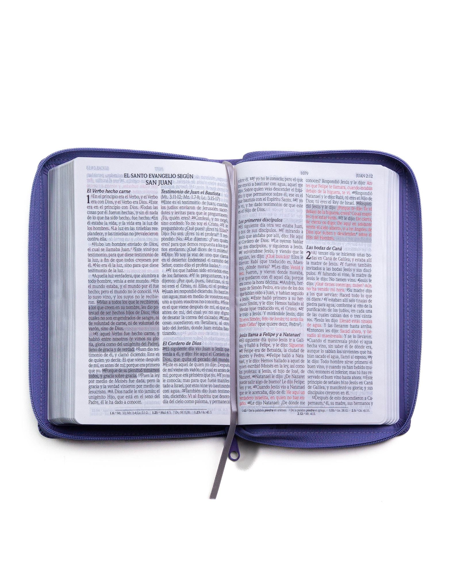 Santa Biblia de Promesas Reina Valera 1960 / Tamaño Manual / Letra Grande / Piel Especial con Cierre / Lavanda // Spanish Promise Bible RVR60 / Handy Size / Large Print / Leathersoft / Lavander
