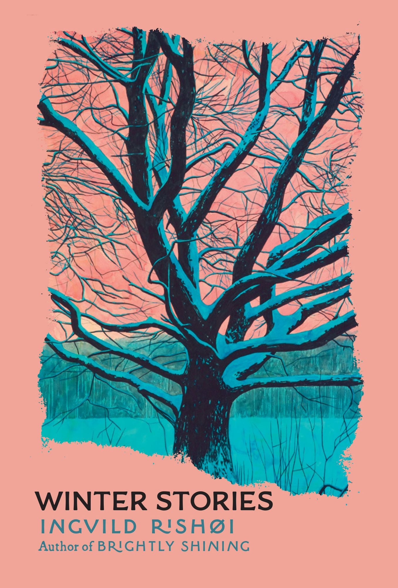Winter Stories