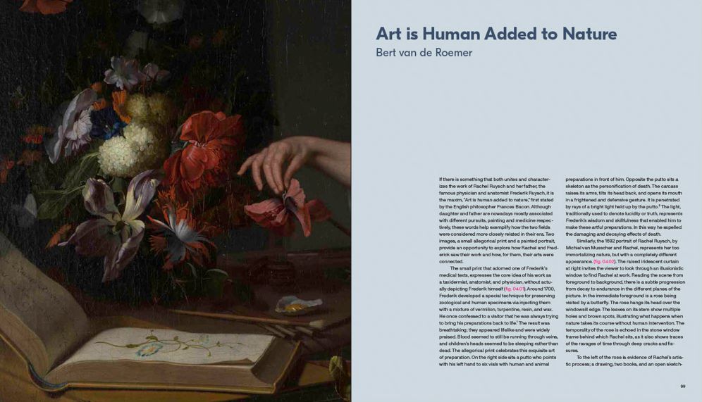 Rachel Ruysch: Nature into Art